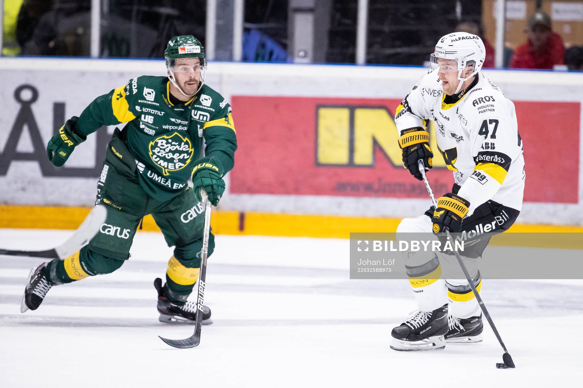 Västerås Logan Roe