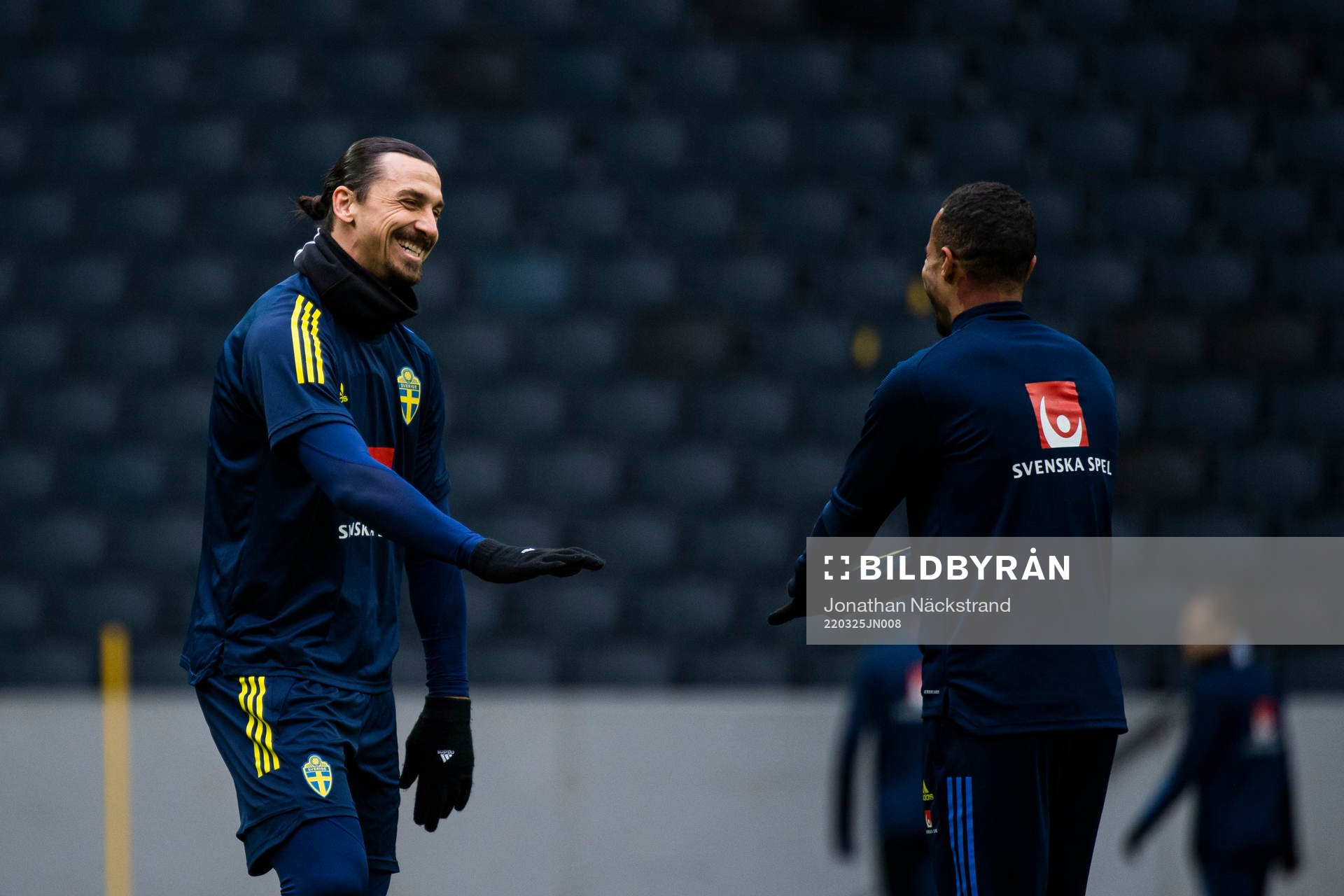 Zlatan Ibrahimović of Sweden