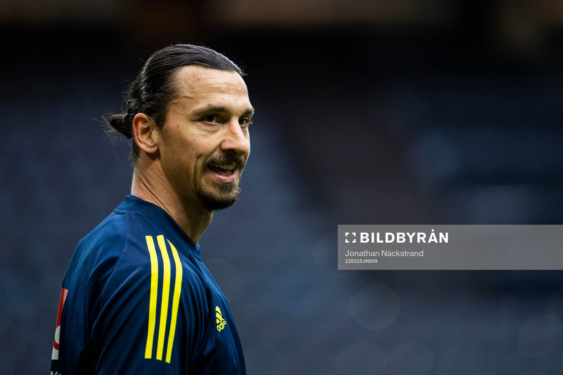 Zlatan Ibrahimović of Sweden