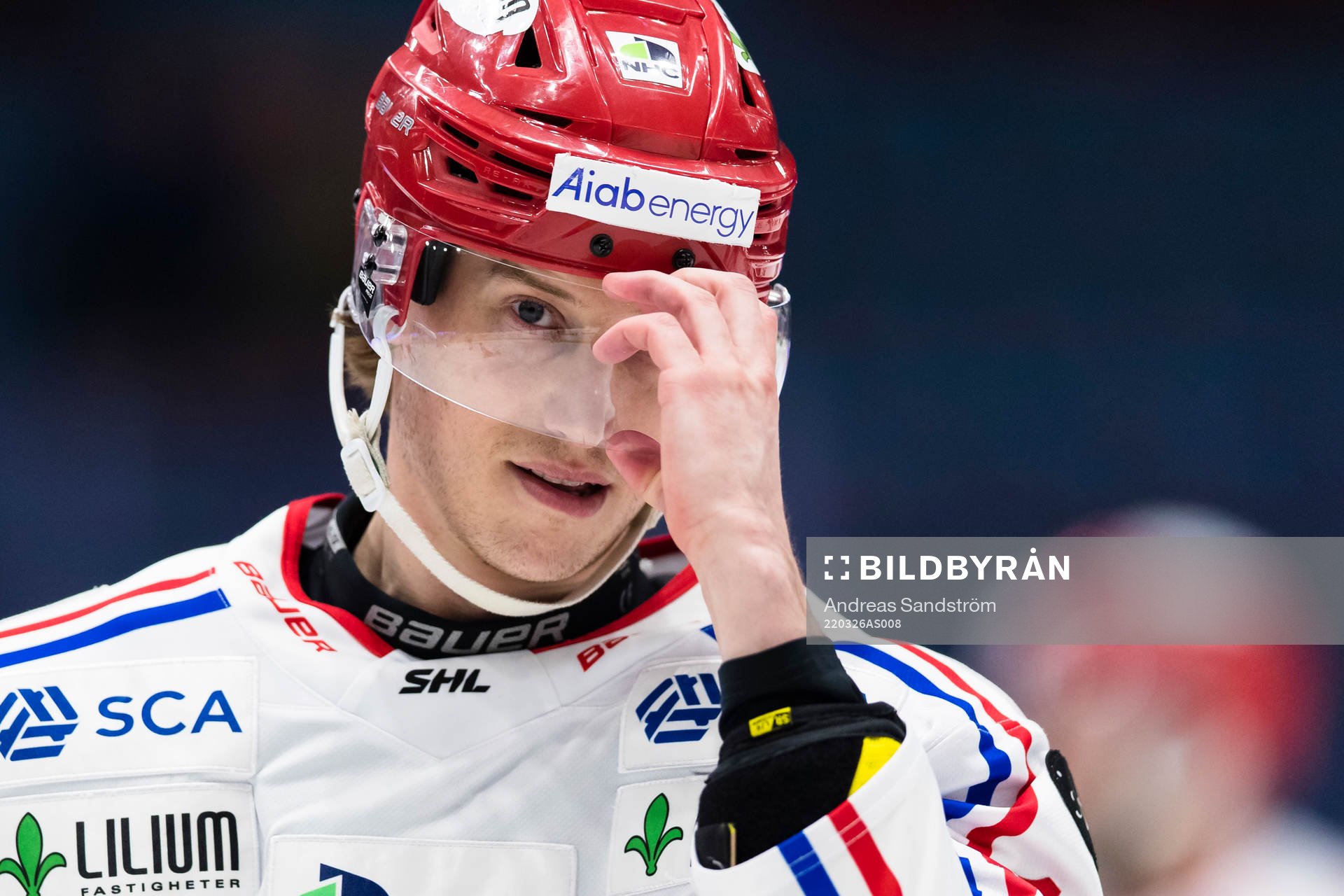 Timrås Robin Alvarez