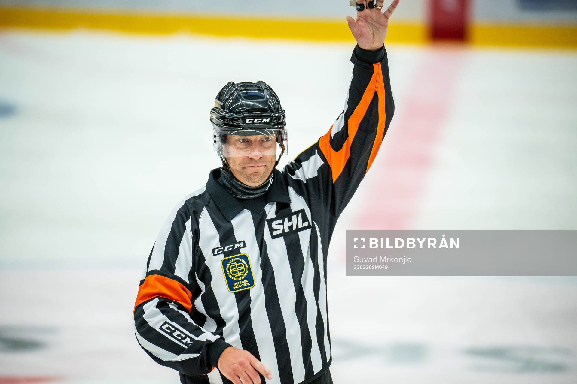 Domare Sören Persson