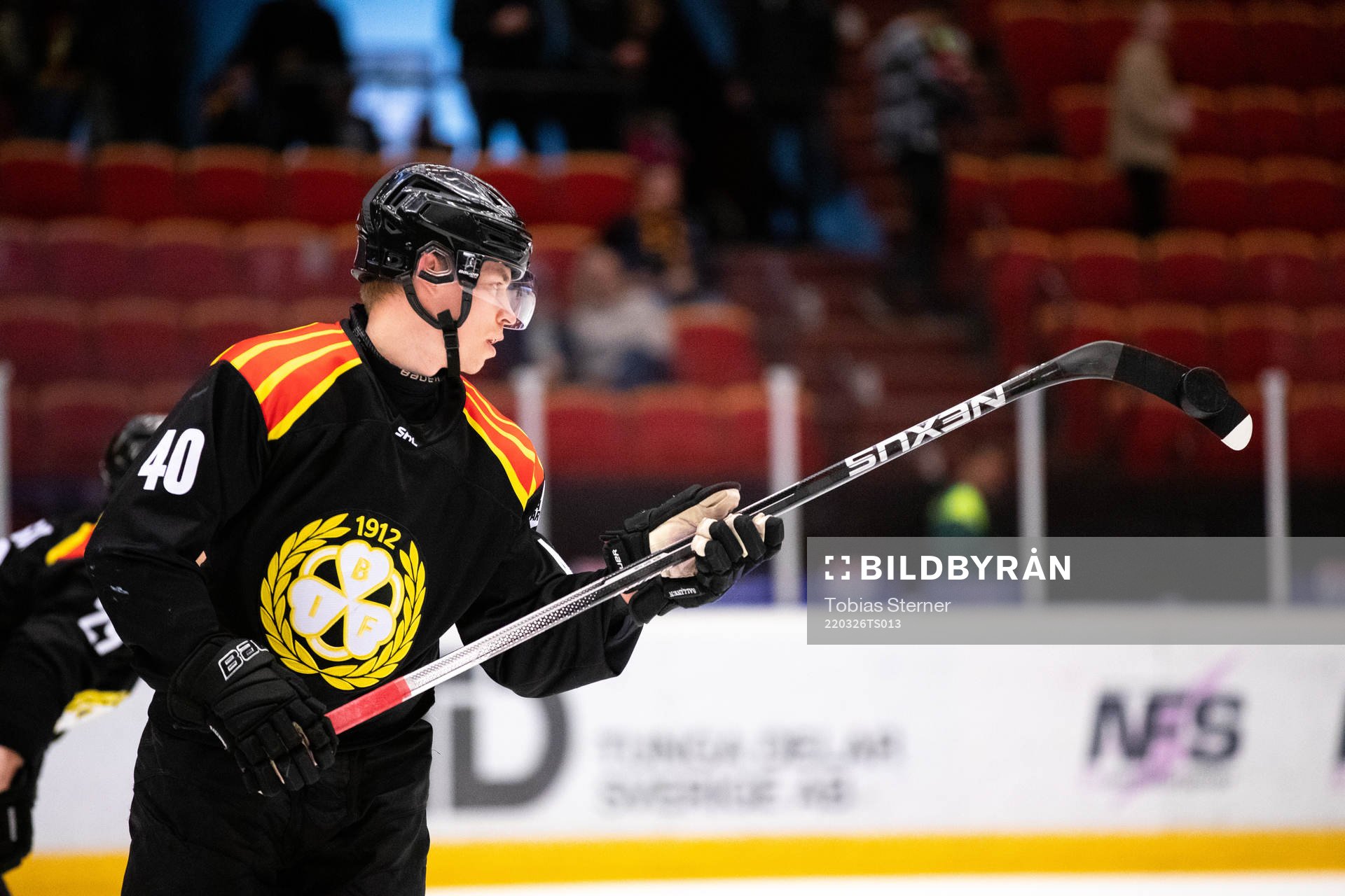 Brynäs Tomi Sallinen