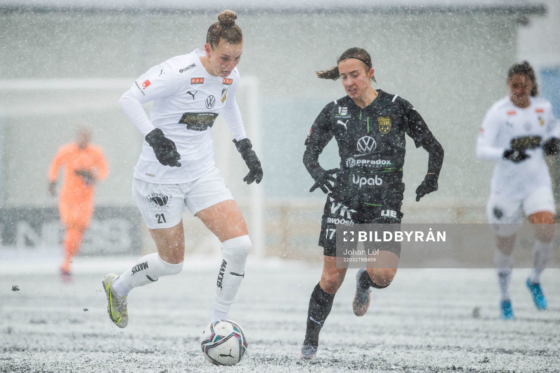 Häckens Dilja Yr Zomers jagad av Umeås Vilma Koivisto