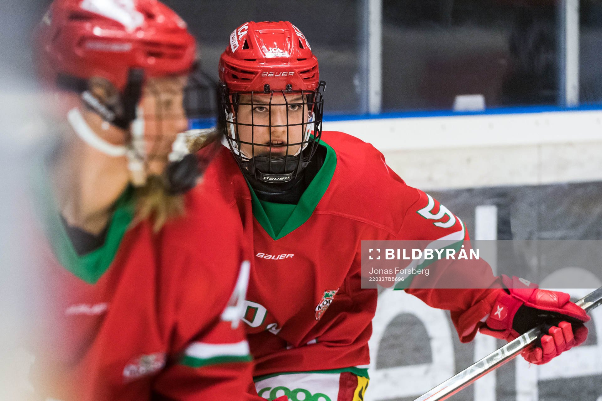 Modos Ebba Hedqvist