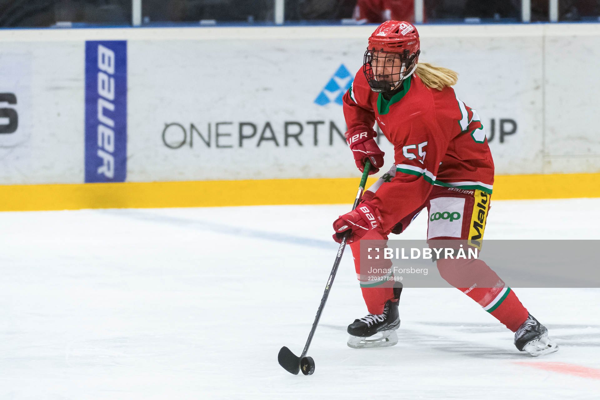 Modos Ebba Hedqvist