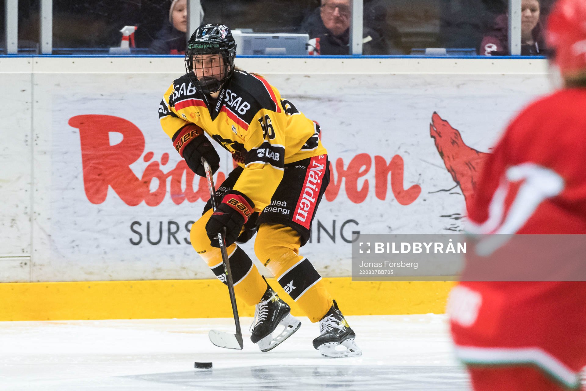 Luleås Klara Kenittälä