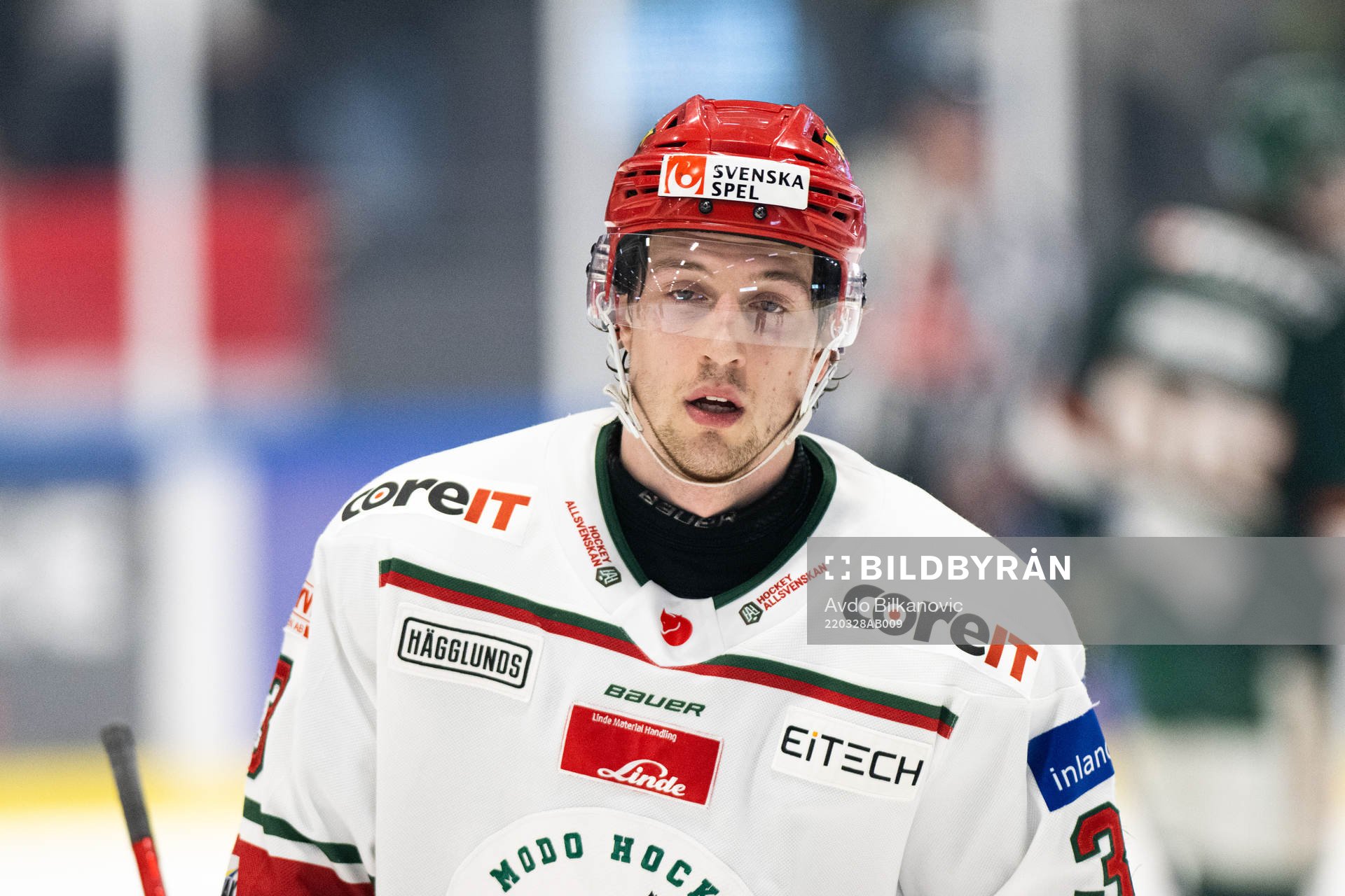 Modos Max Tjernström