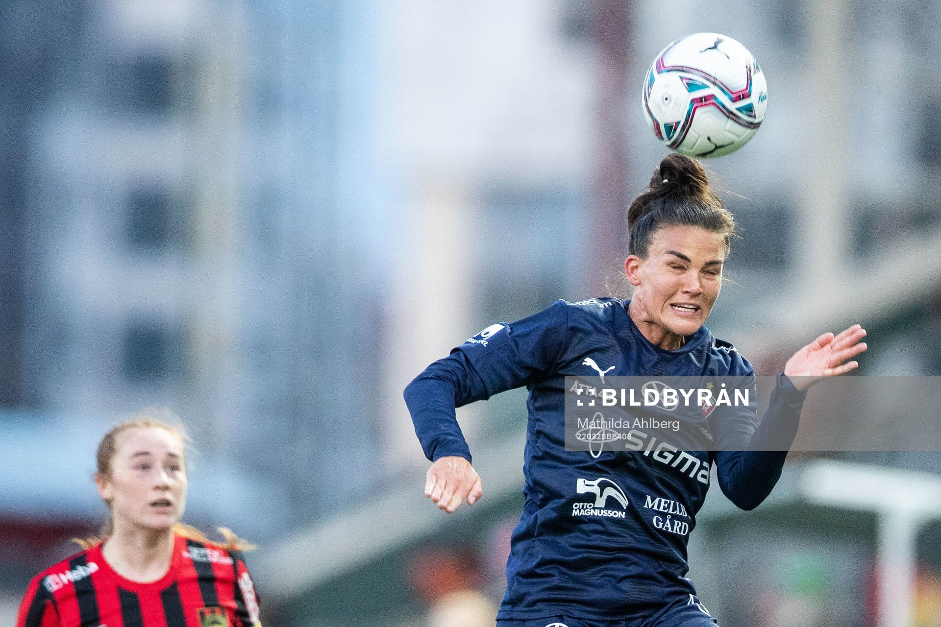 Rosengårds Katrine Veje