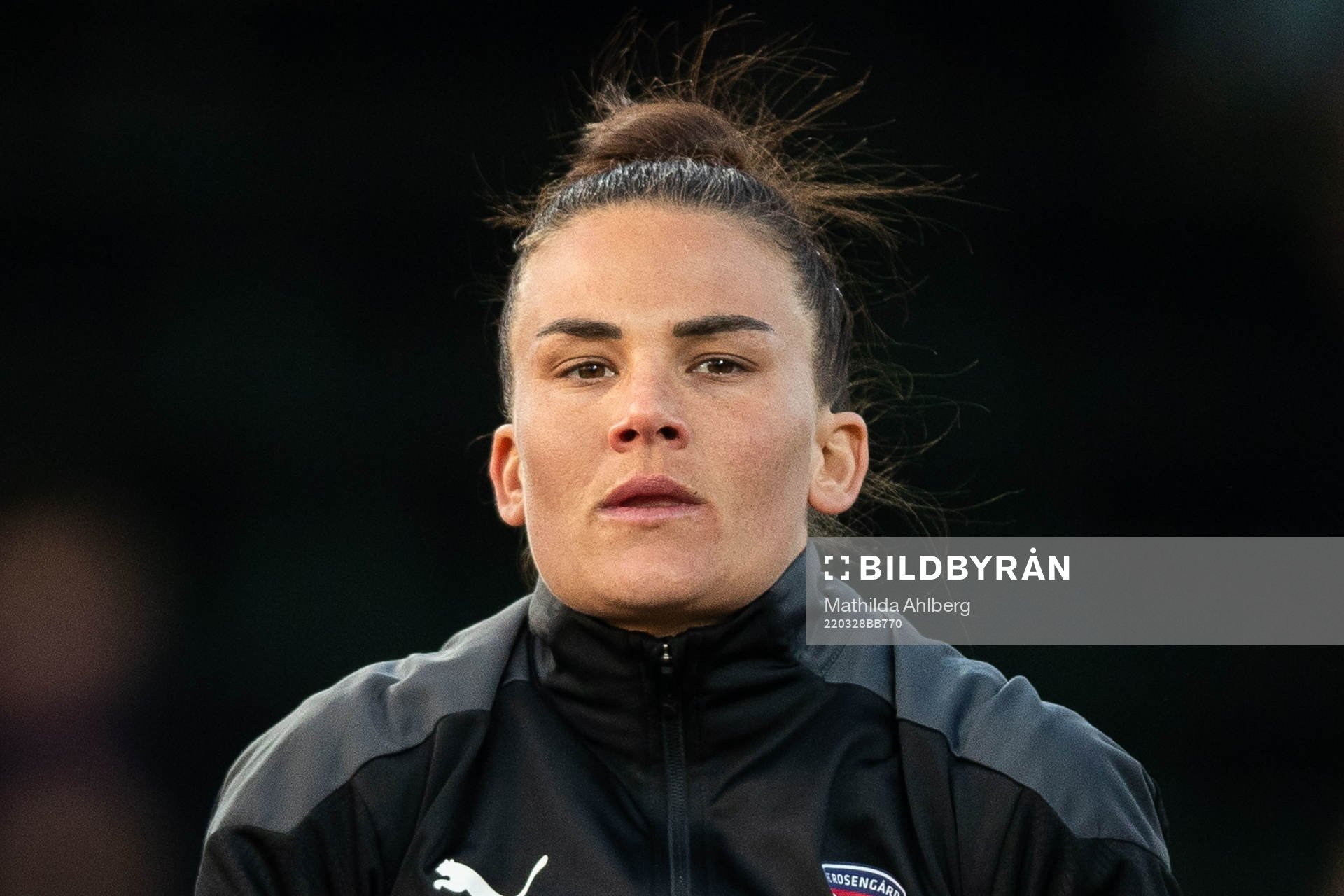 Rosengårds Katrine Veje