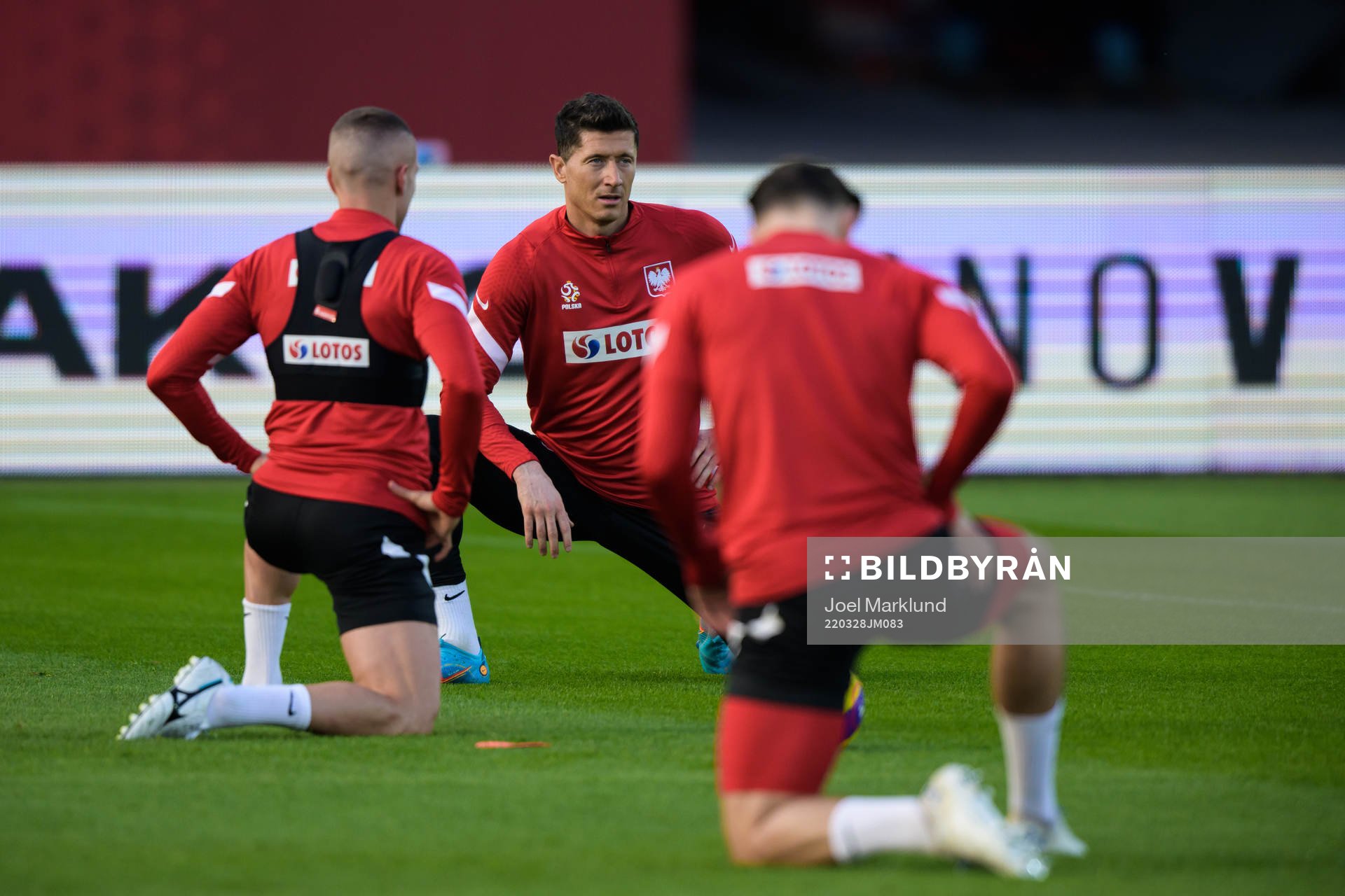 Robert Lewandowski of the Polish national football team