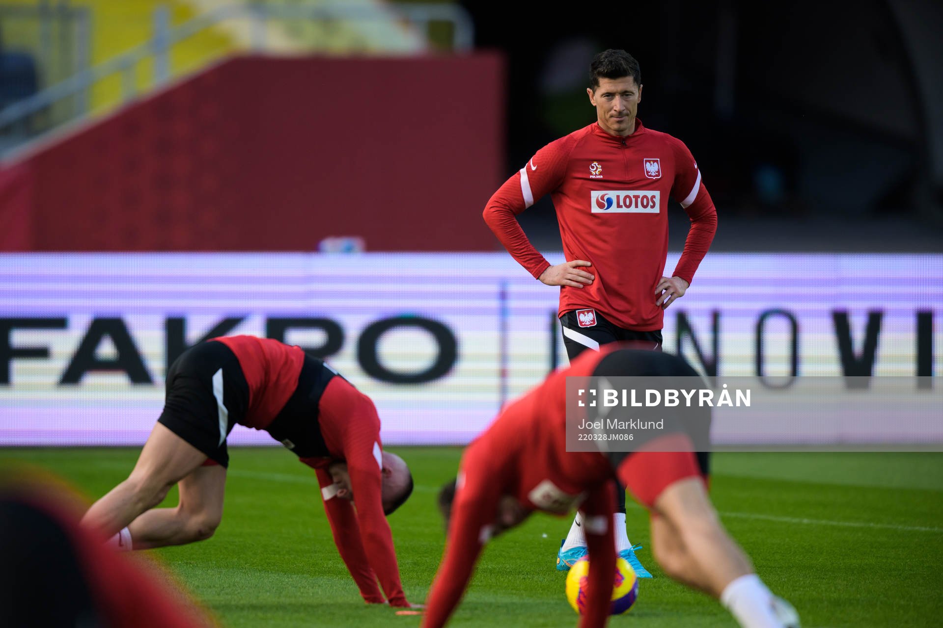 Robert Lewandowski of the Polish national football team