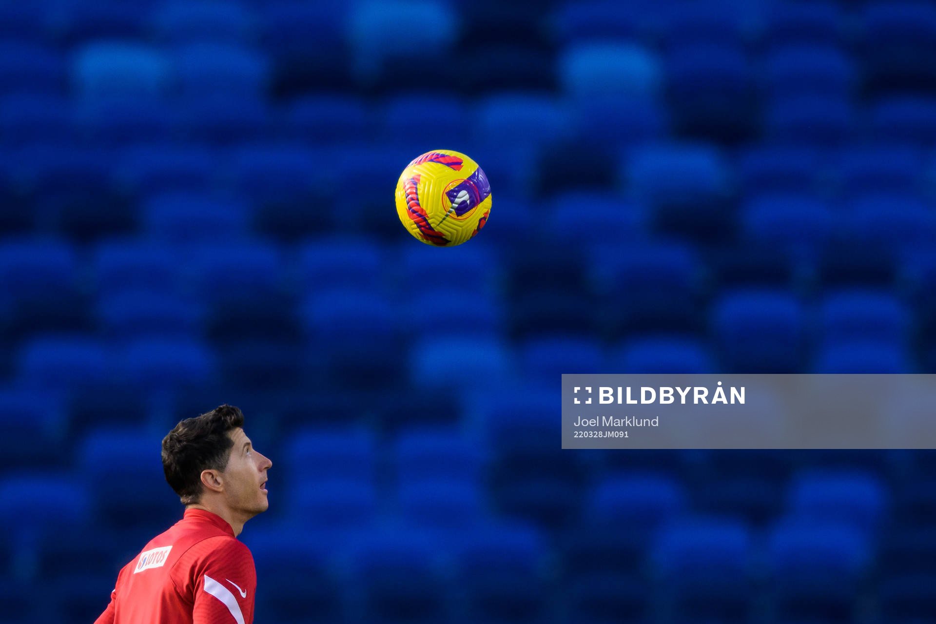 Robert Lewandowski of the Polish national football team