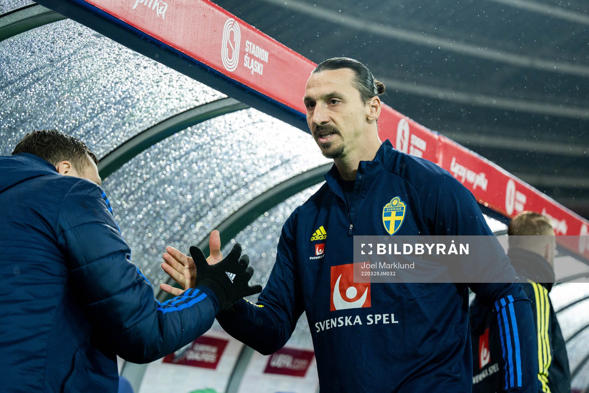 Zlatan Ibrahimovic of Sweden