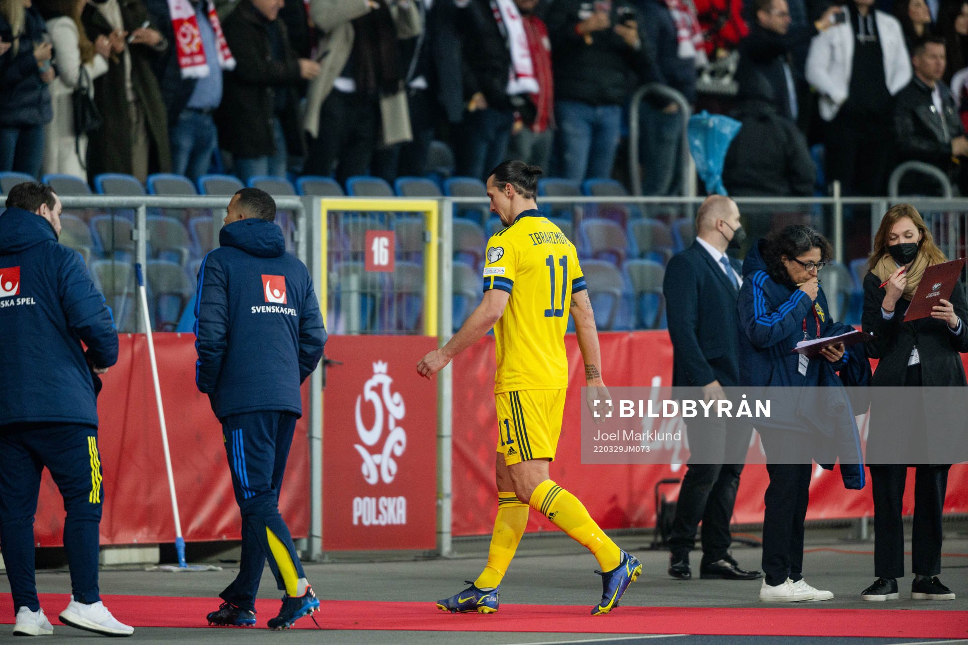 Zlatan Ibrahimovic of Sweden leaves the pitch