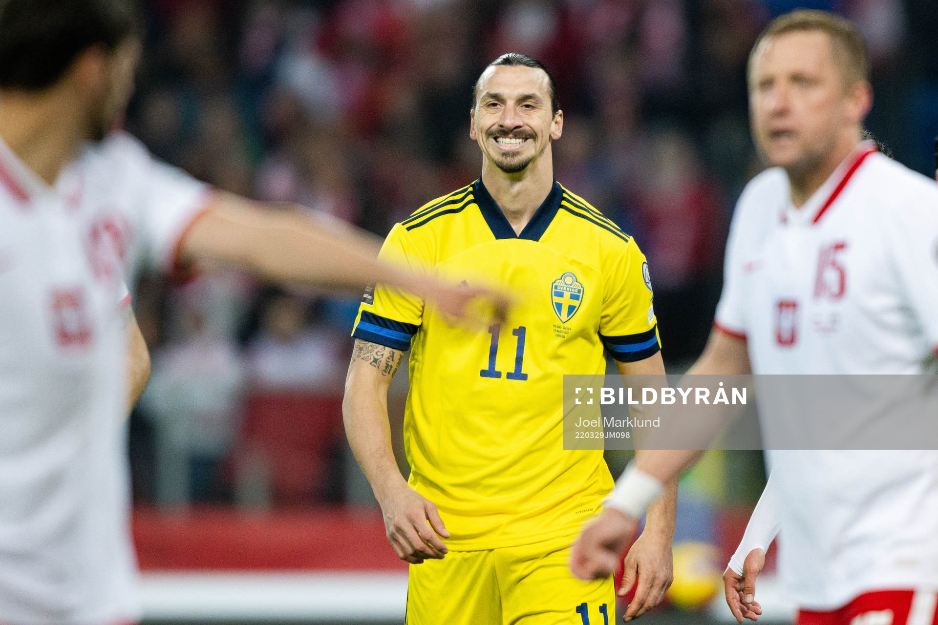 Zlatan Ibrahimovic of Sweden