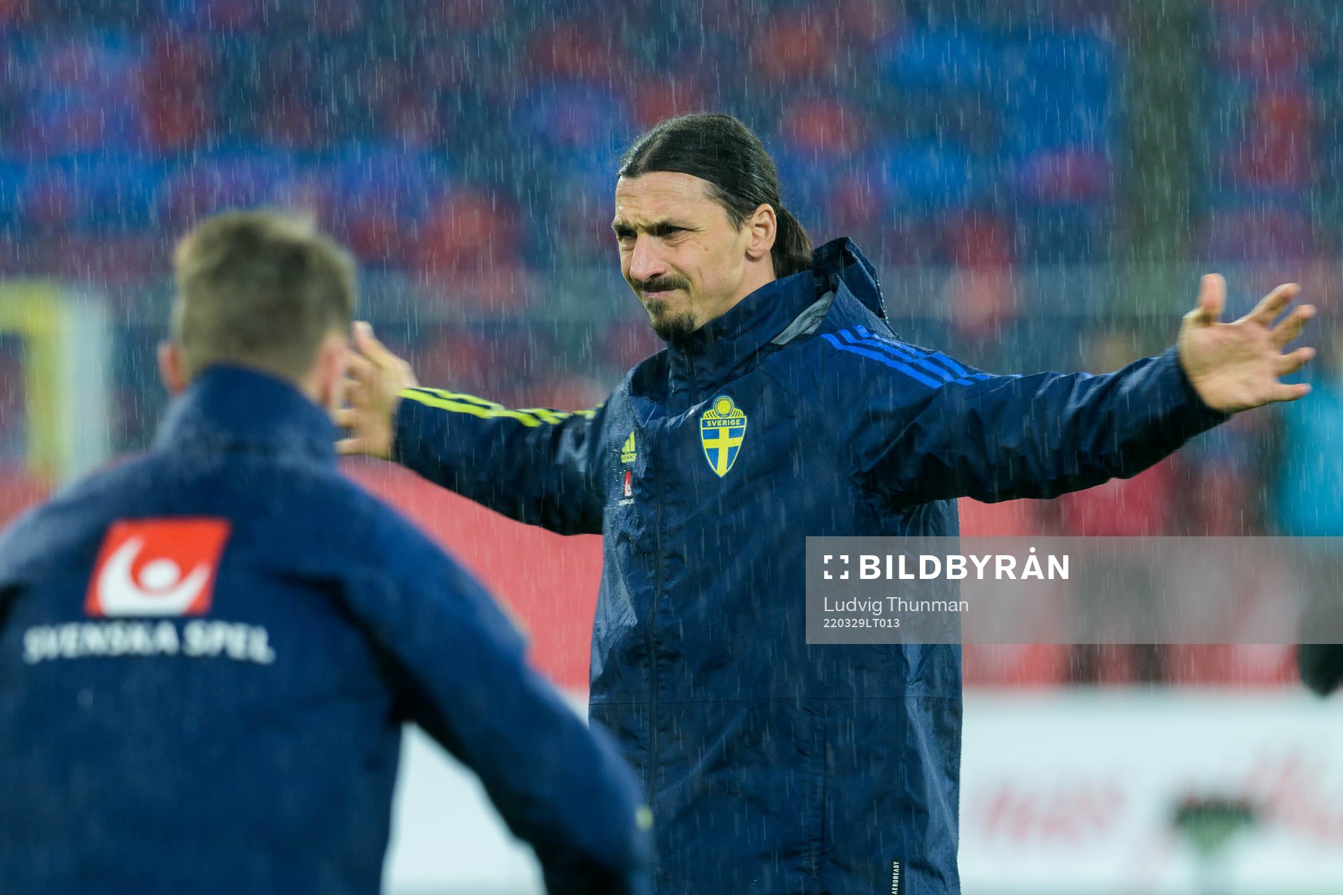 Zlatan Ibrahimovic of Sweden