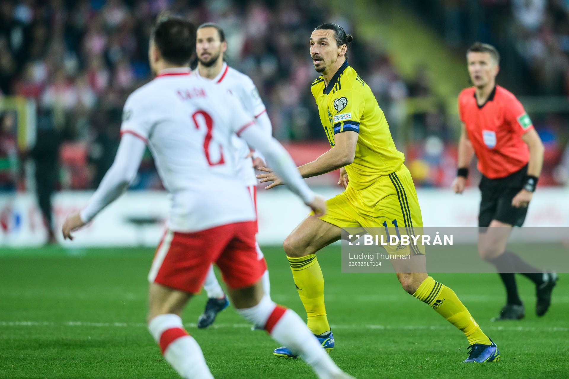 Zlatan Ibrahimovic  of Sweden