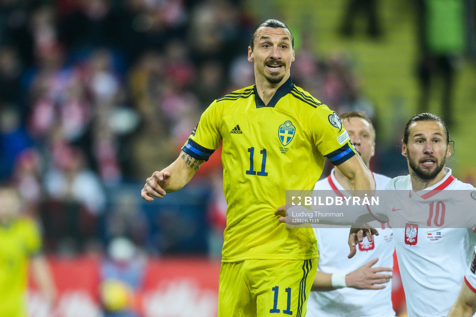 Zlatan Ibrahimovic of Sweden