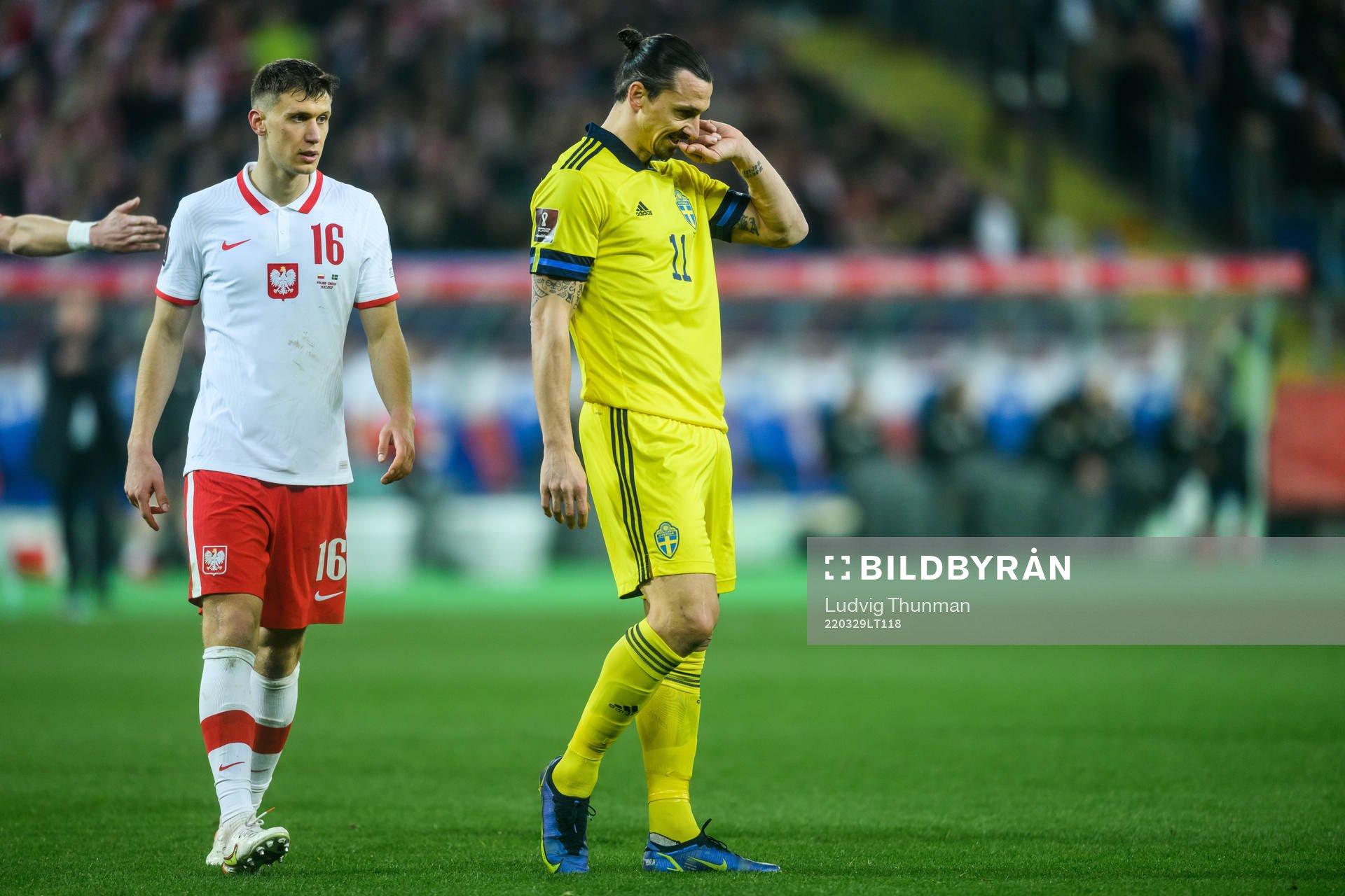 Zlatan Ibrahimovic  of Sweden looks dejected