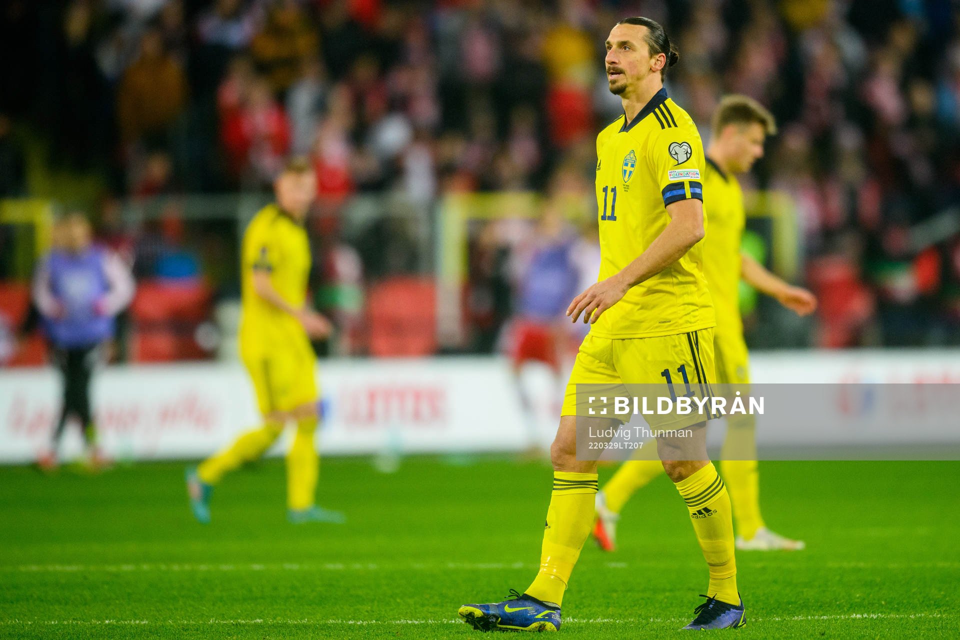 Zlatan Ibrahimovic of Sweden