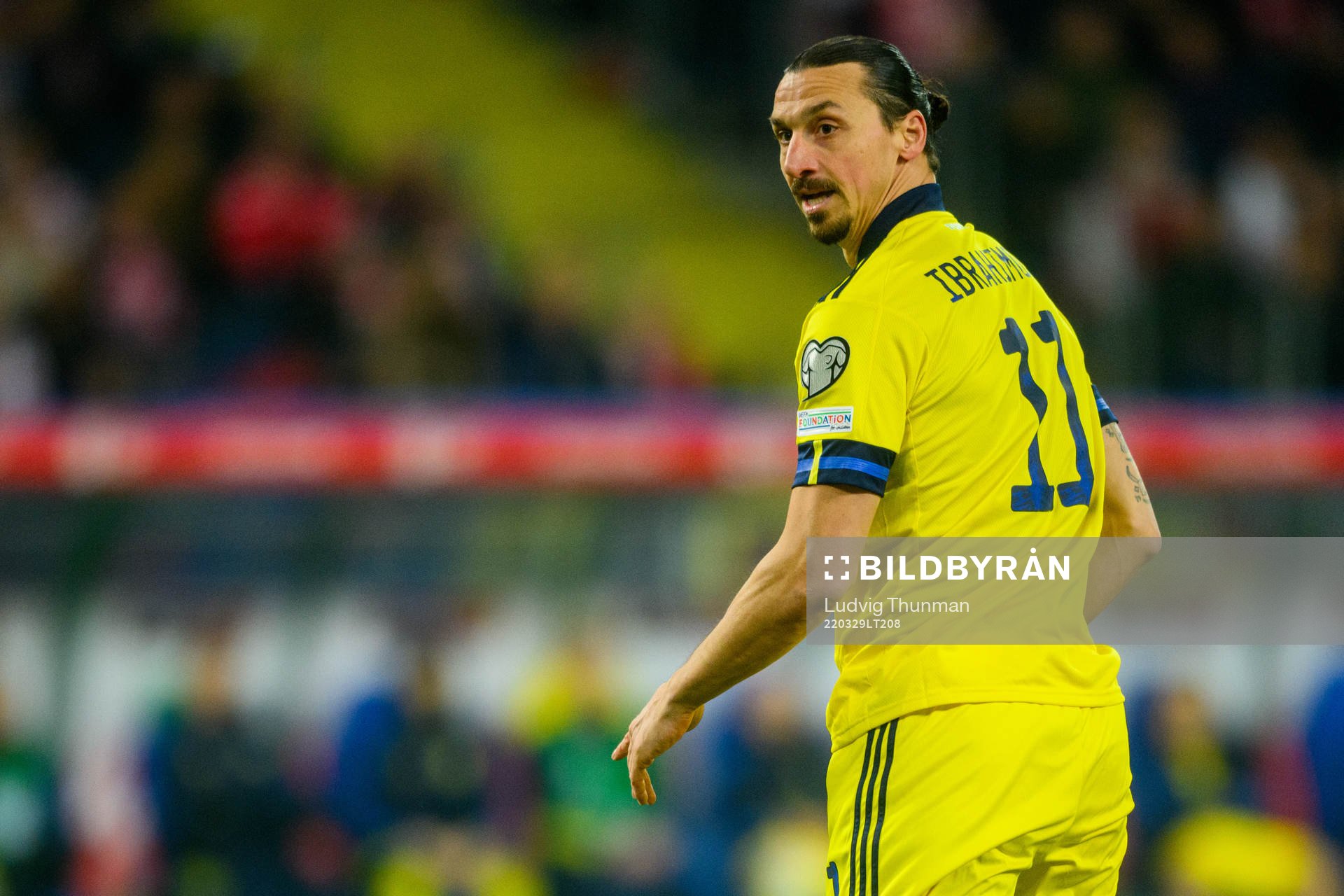 Zlatan Ibrahimovic of Sweden