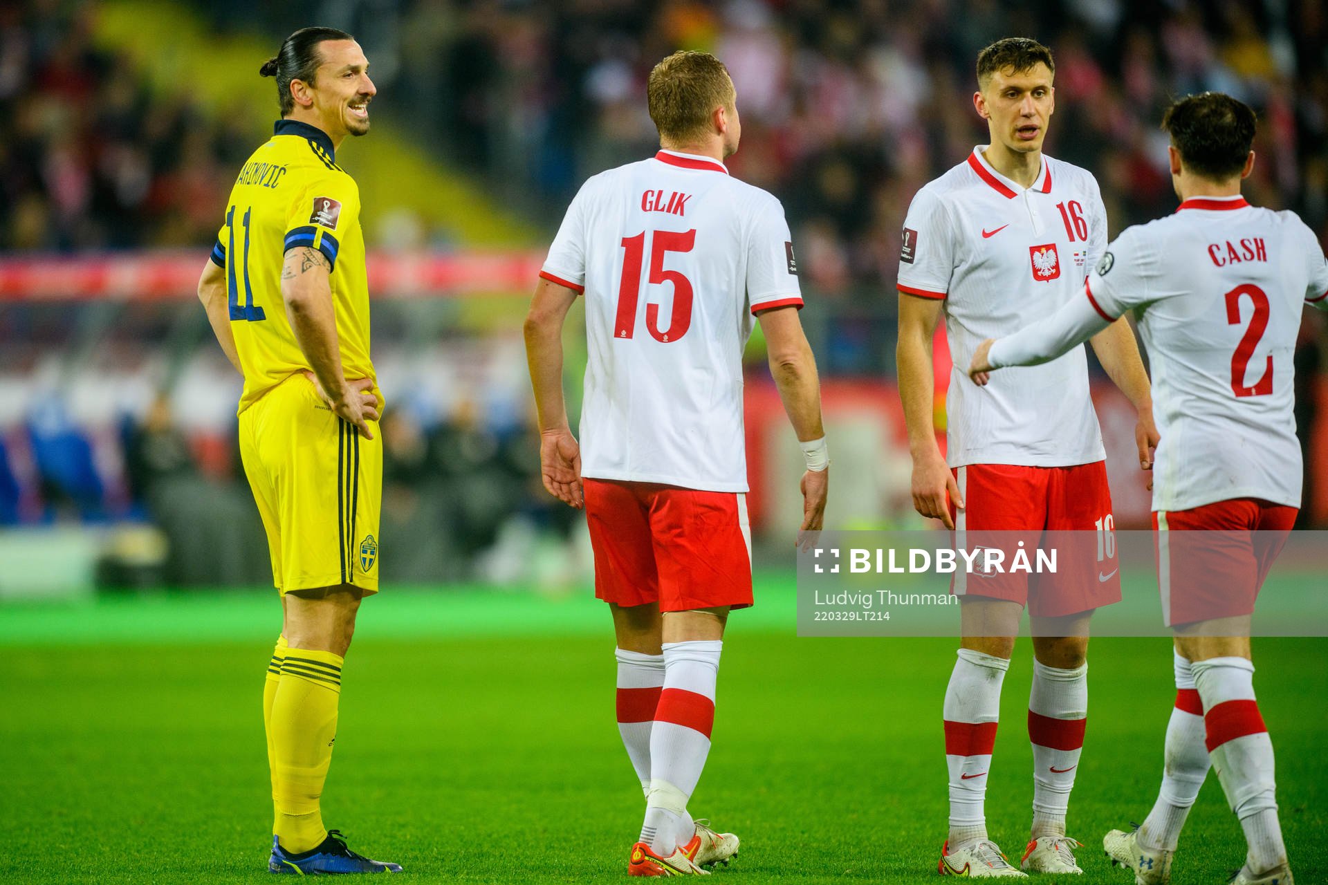 Zlatan Ibrahimovic  of Sweden