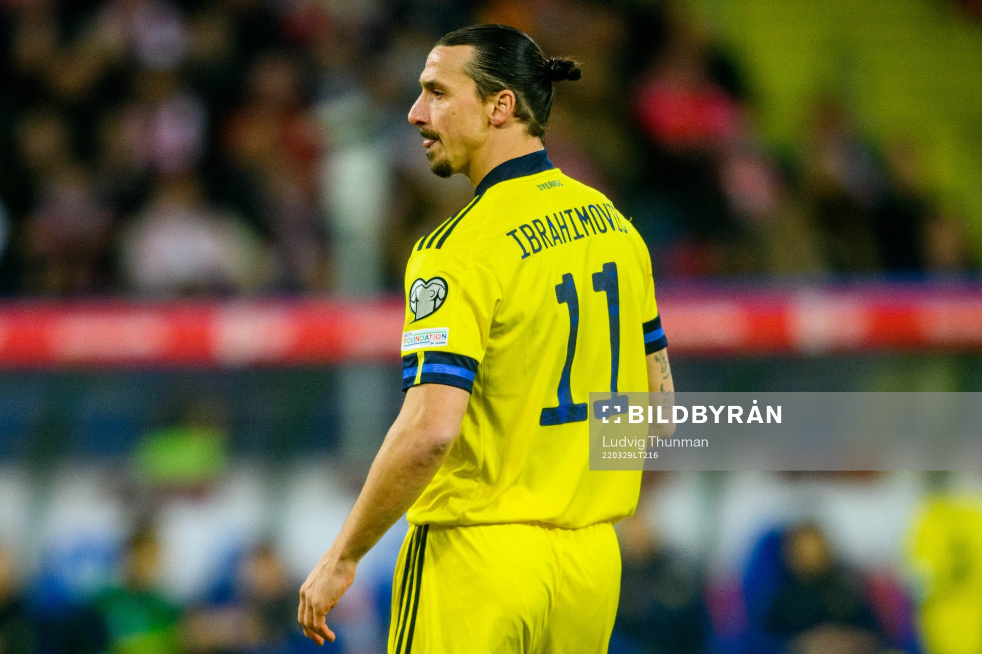 Zlatan Ibrahimovic  of Sweden