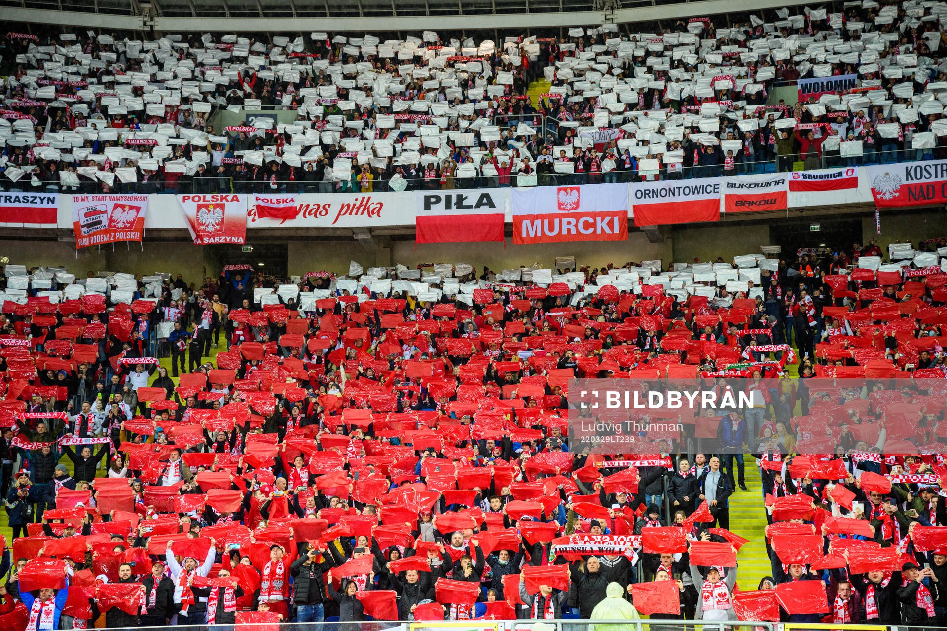during the FIFA World Cup Qualifier play-off final between