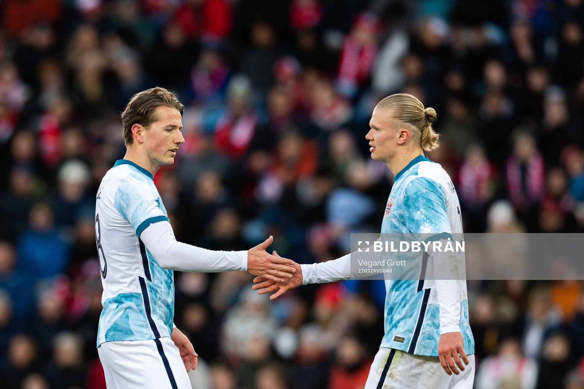 Sander Berge and Erling Braut Haaland of Norway