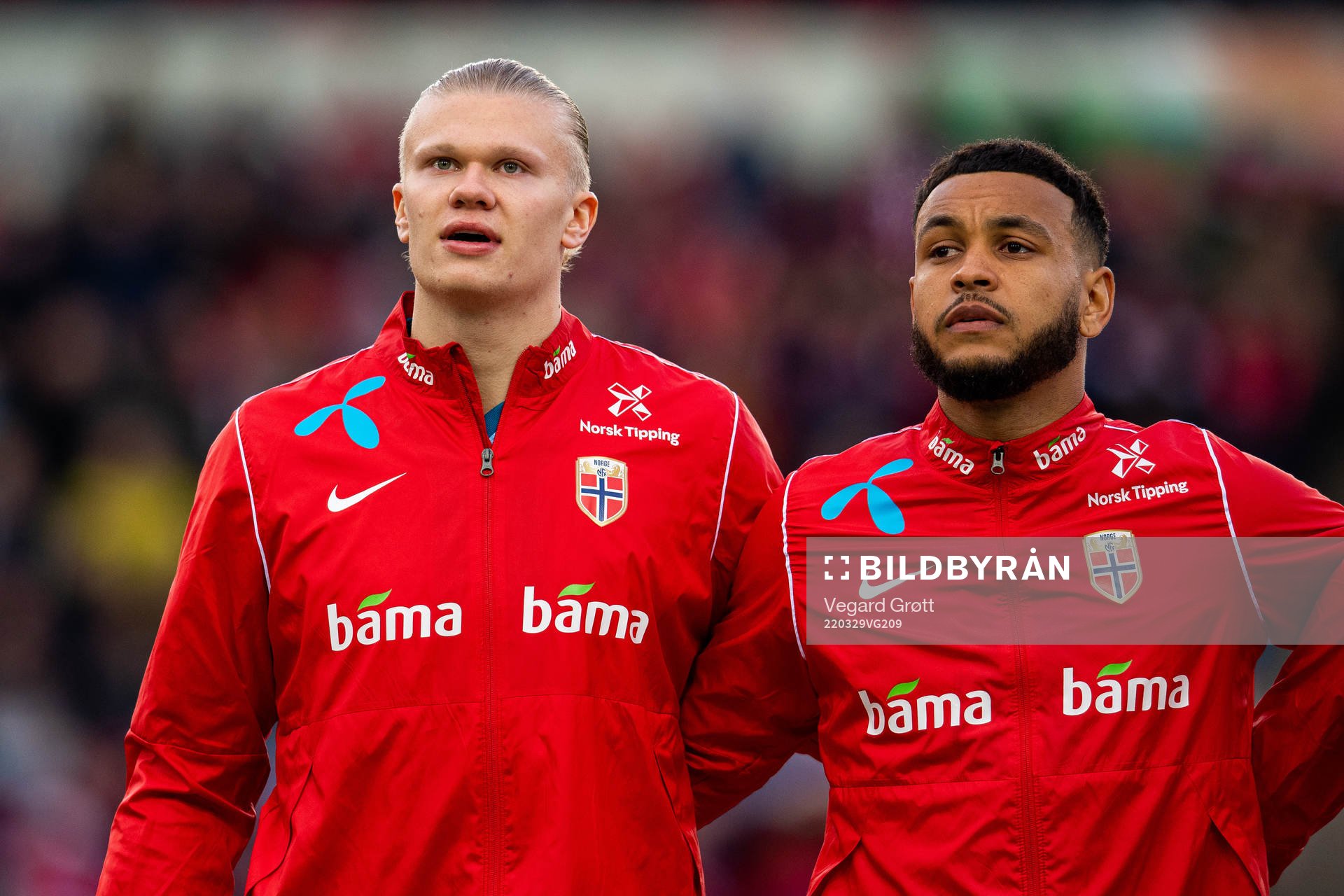 Erling Braut Haaland and Joshua King of Norway