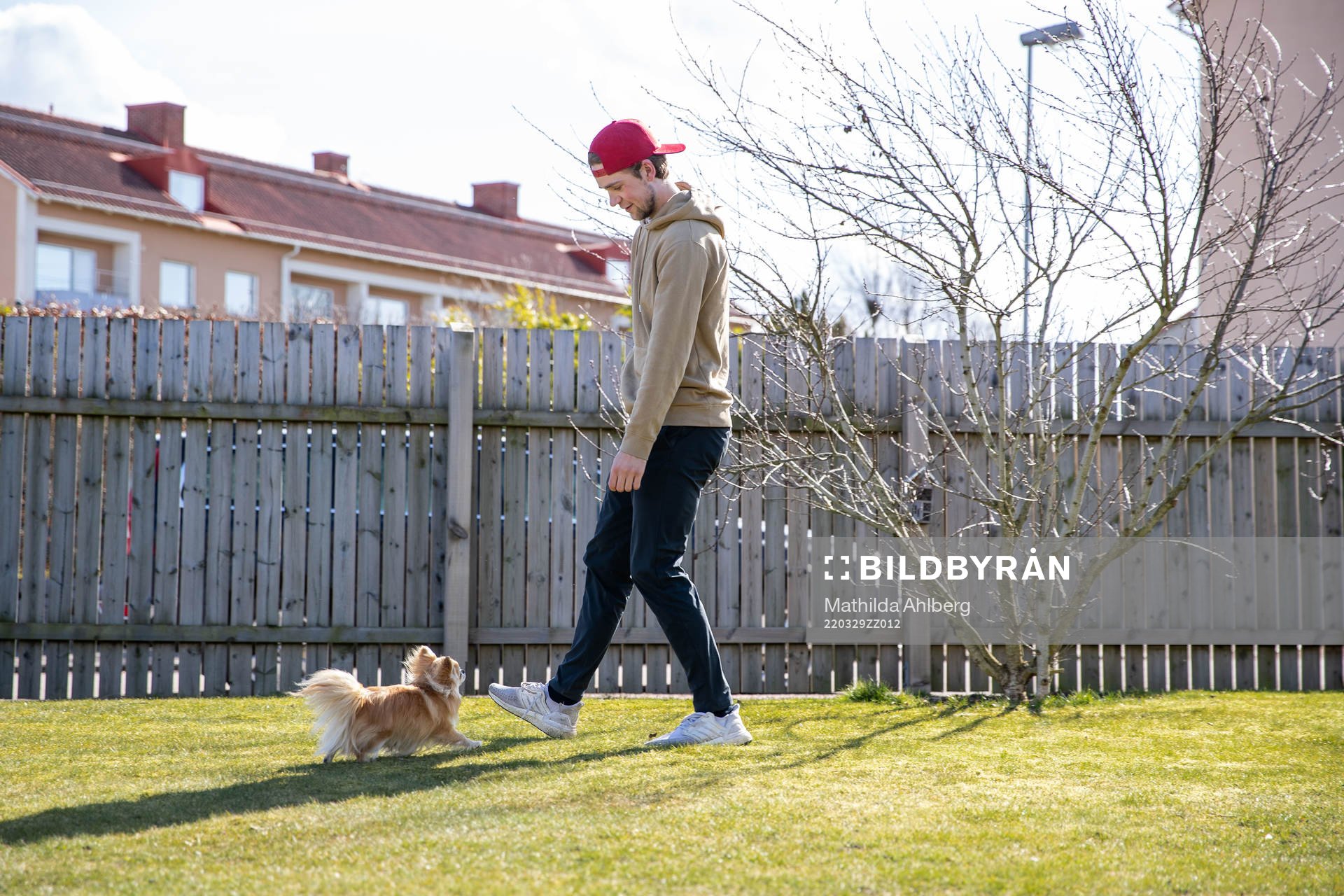 Lucas Ekeståhl-Jonsson och hunden Levi
