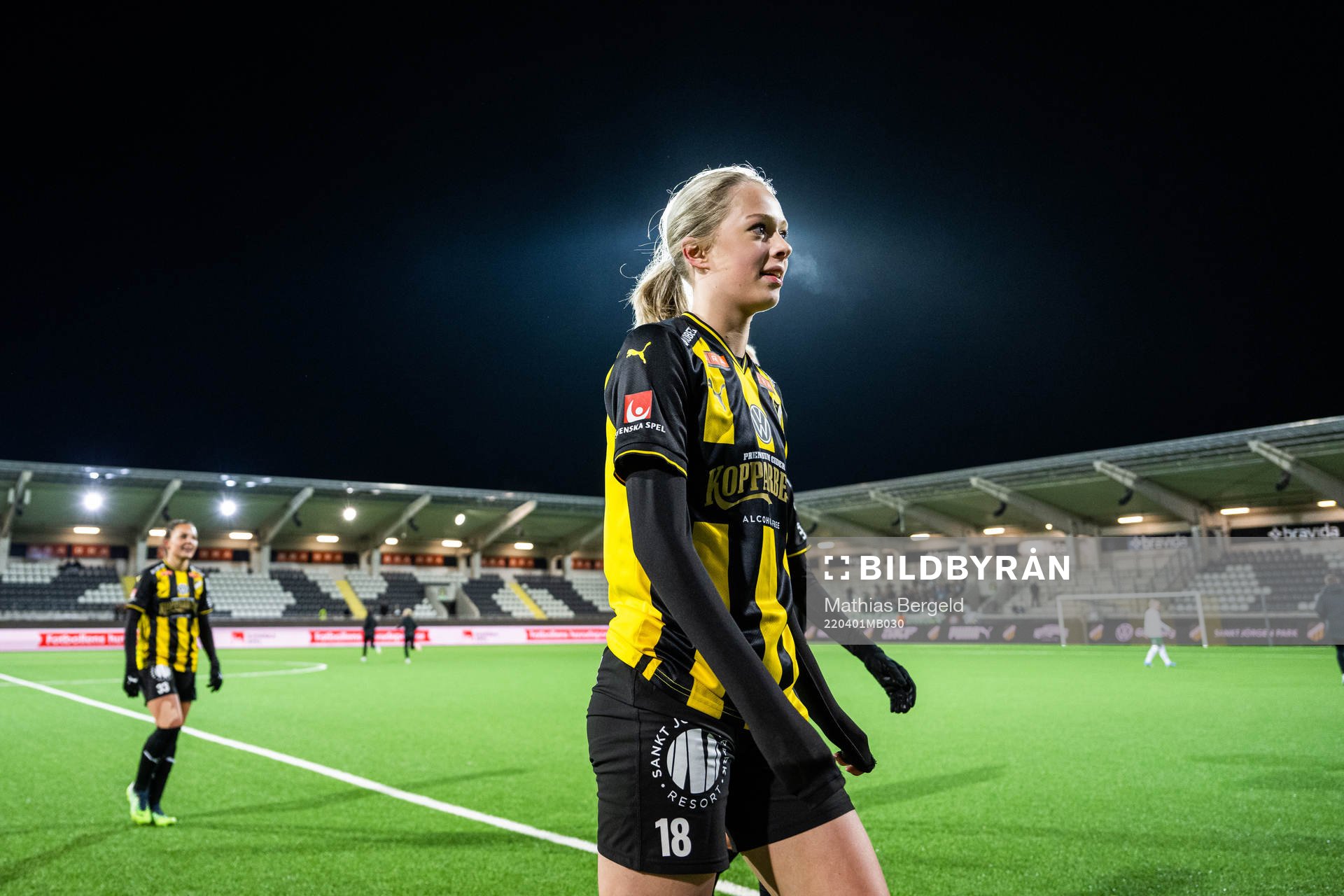 Häckens Lisa Löwing