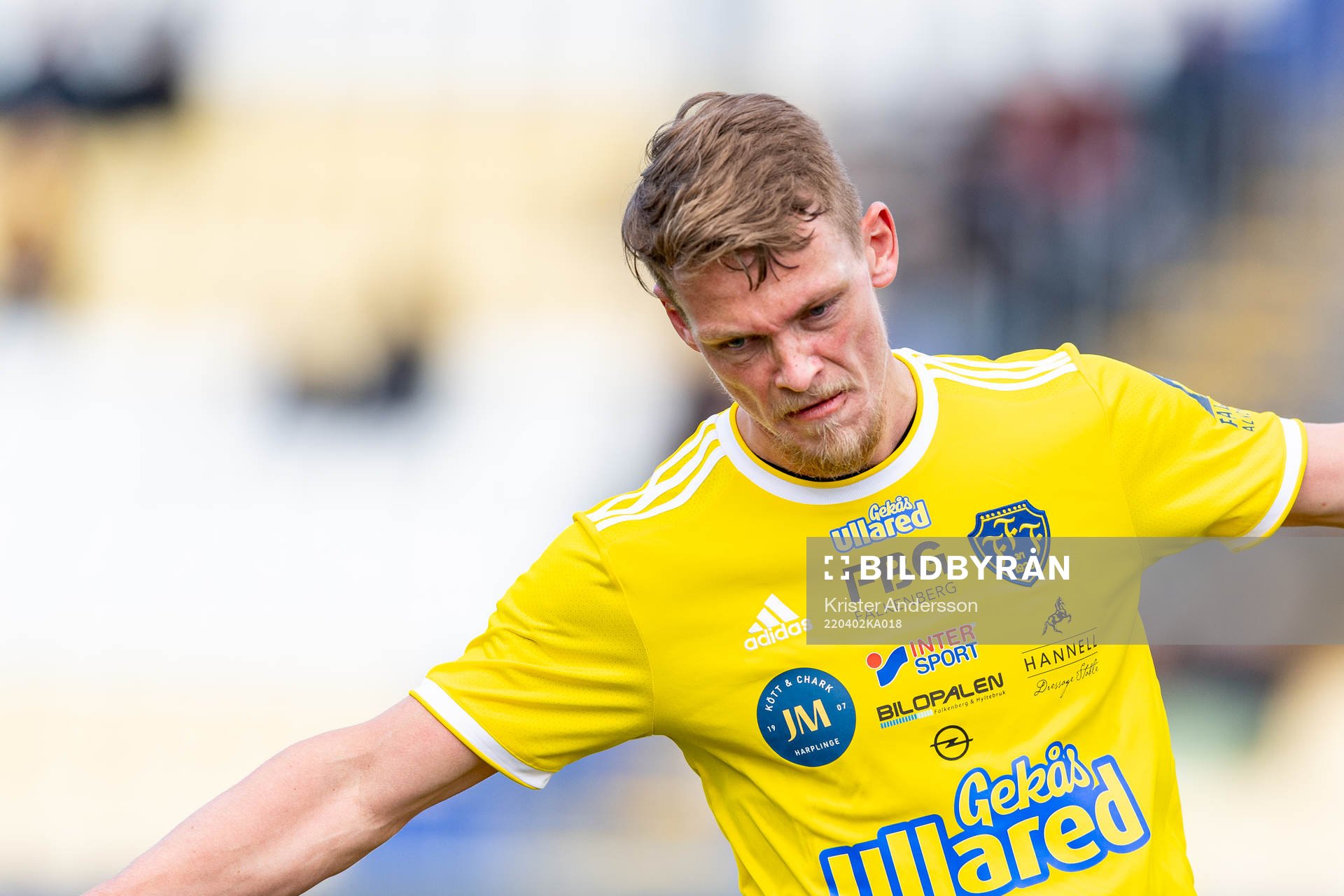 Falkenbergs Robin Hofsö jublar