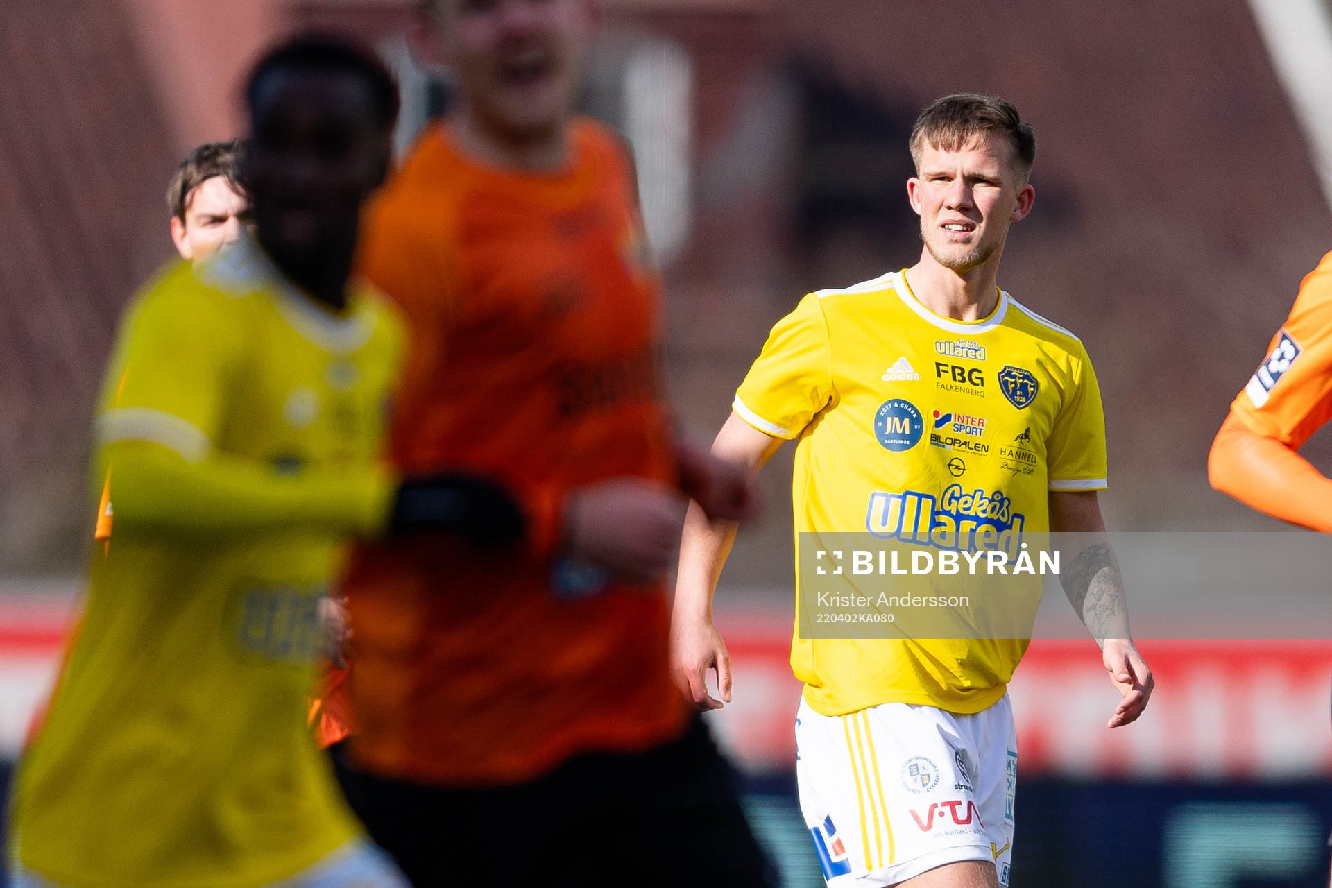Falkenbergs Tim Stålheden