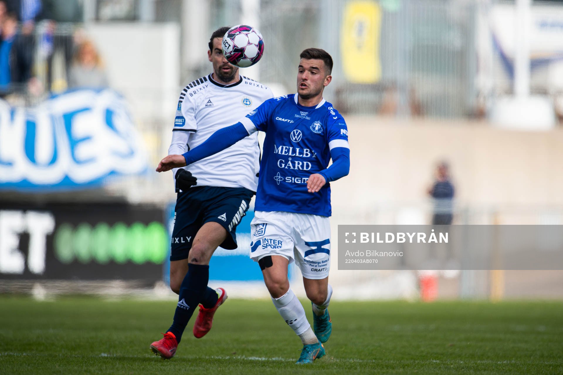 Trelleborgs Haris Brkic