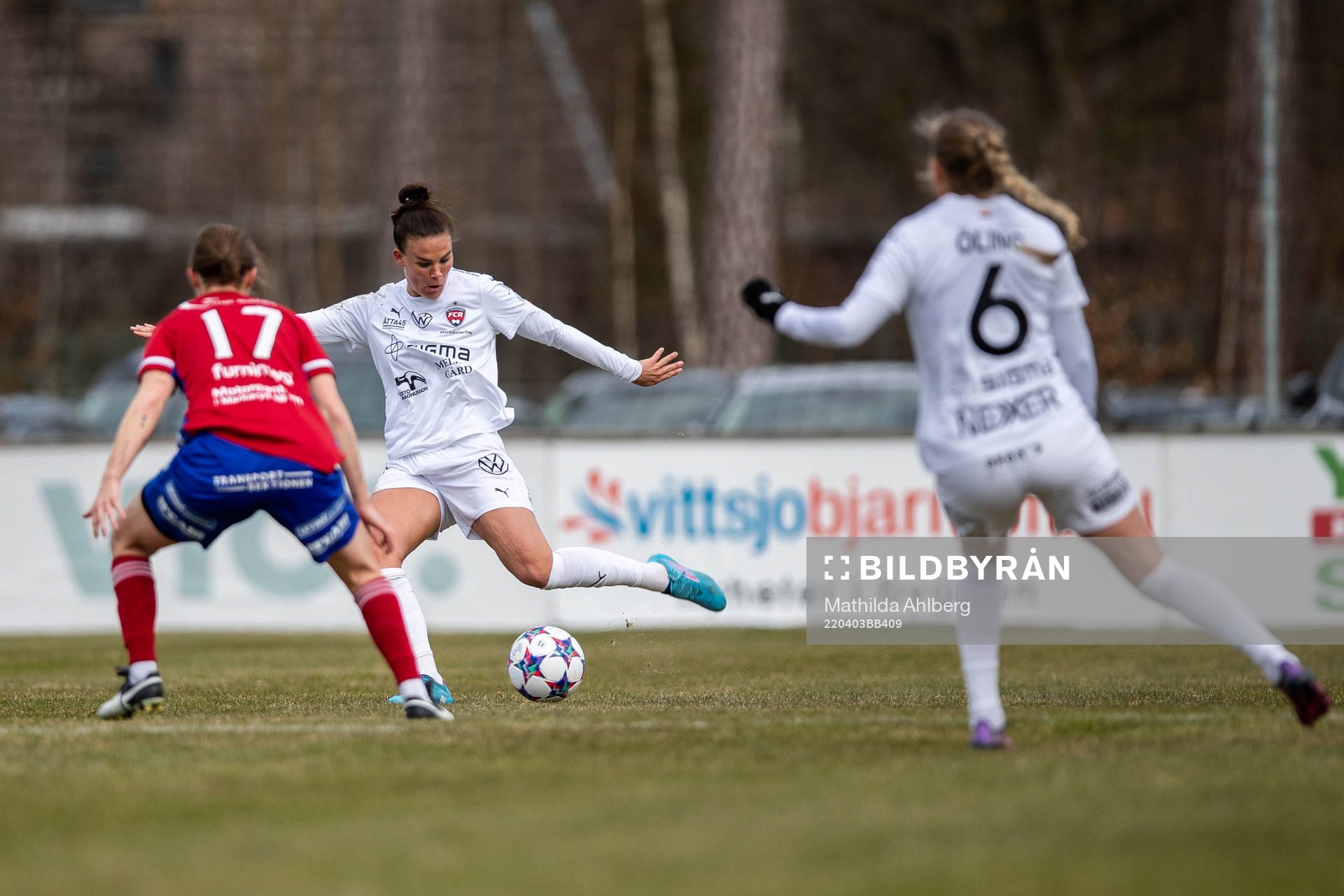 Rosengårds Katrine Veje