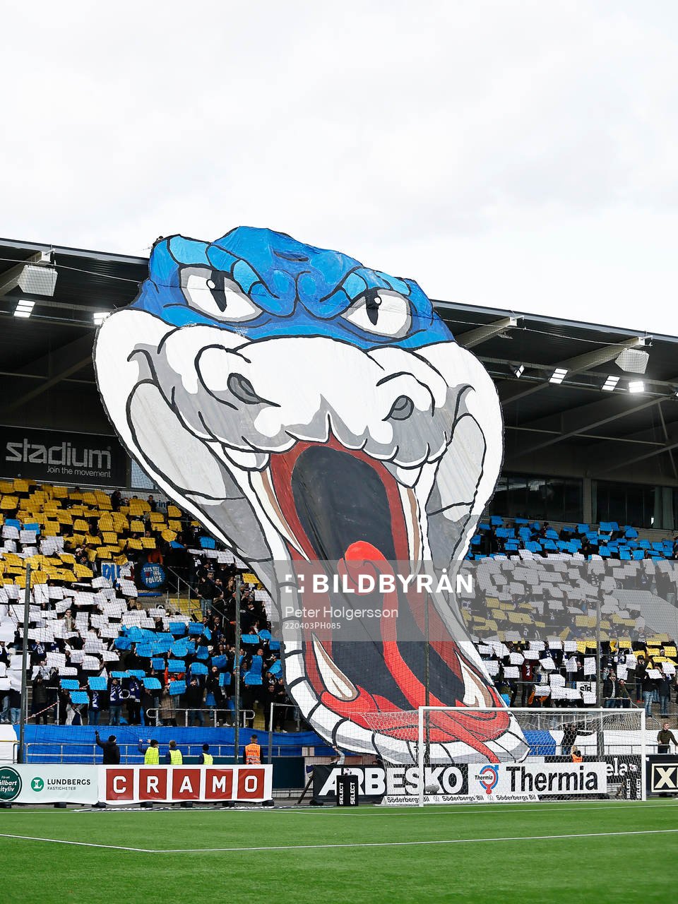 Tifo