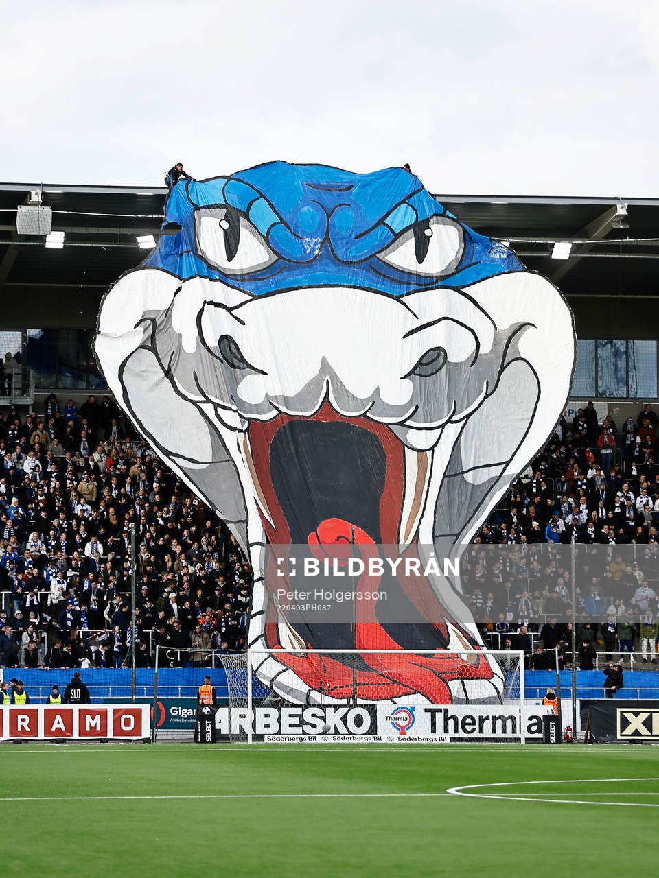 Tifo