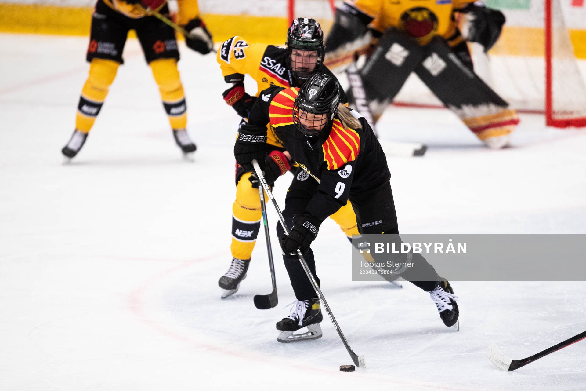 Brynäs Josefin Bouveng