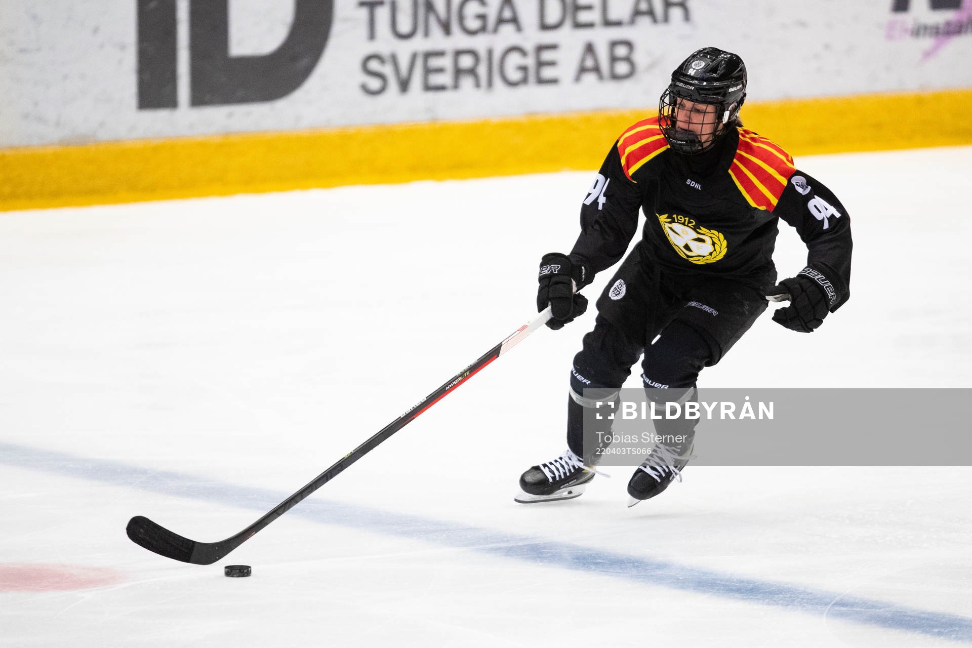 Brynäs Anna Meixner