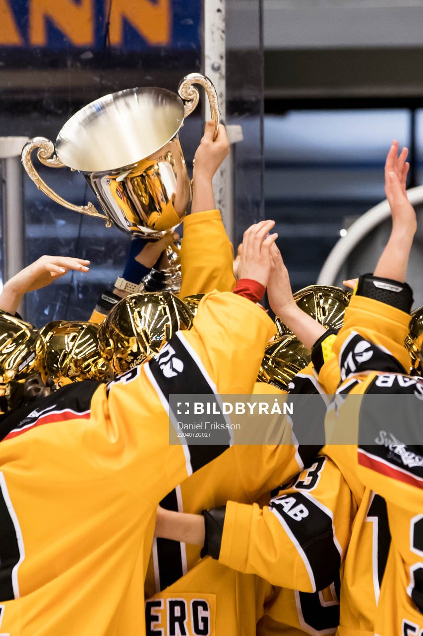 Luleå spelarna jublar