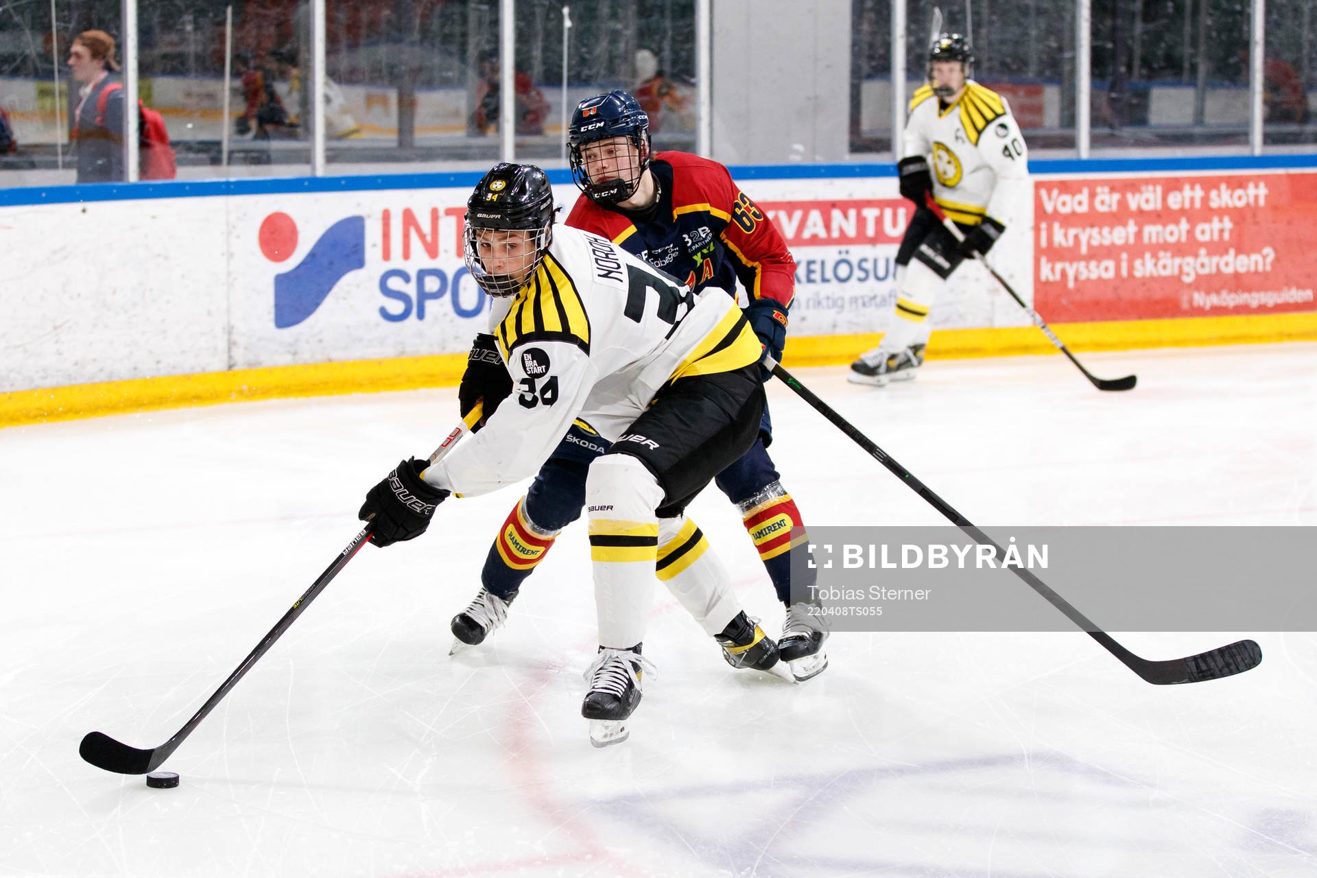 Brynäs Noel Nordh och Djurgårdens Sebastian Lillsund