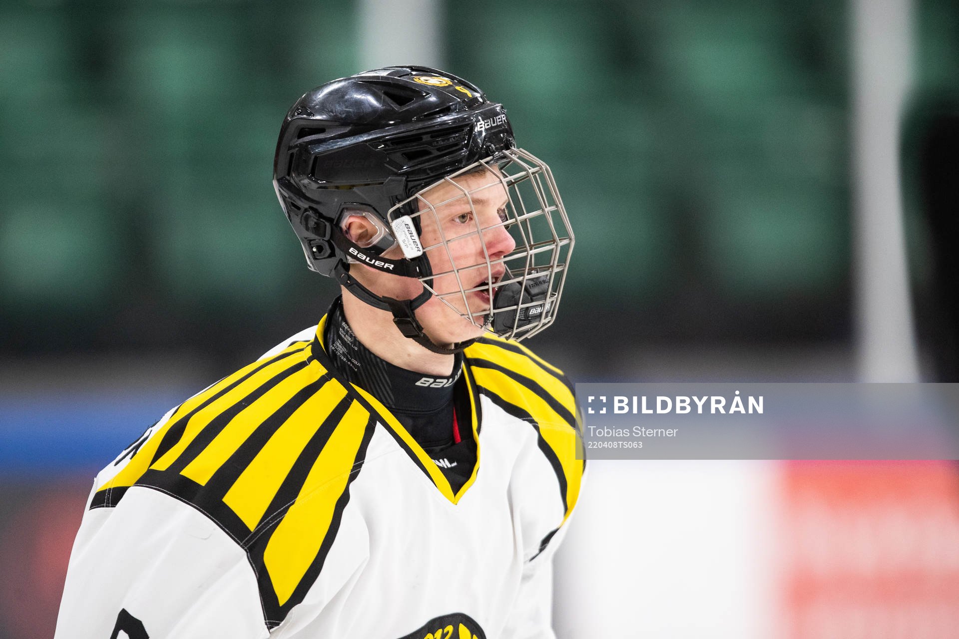 Brynäs Linus Hemström