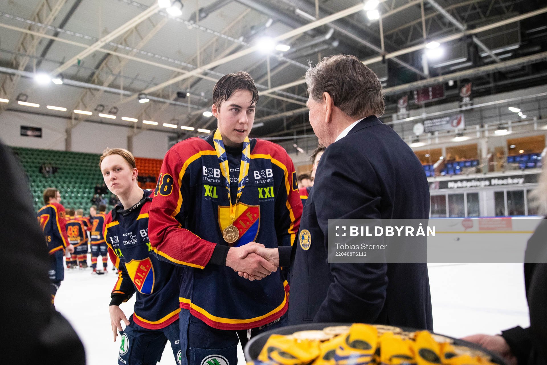 Djurgårdens Vilmer Alriksson