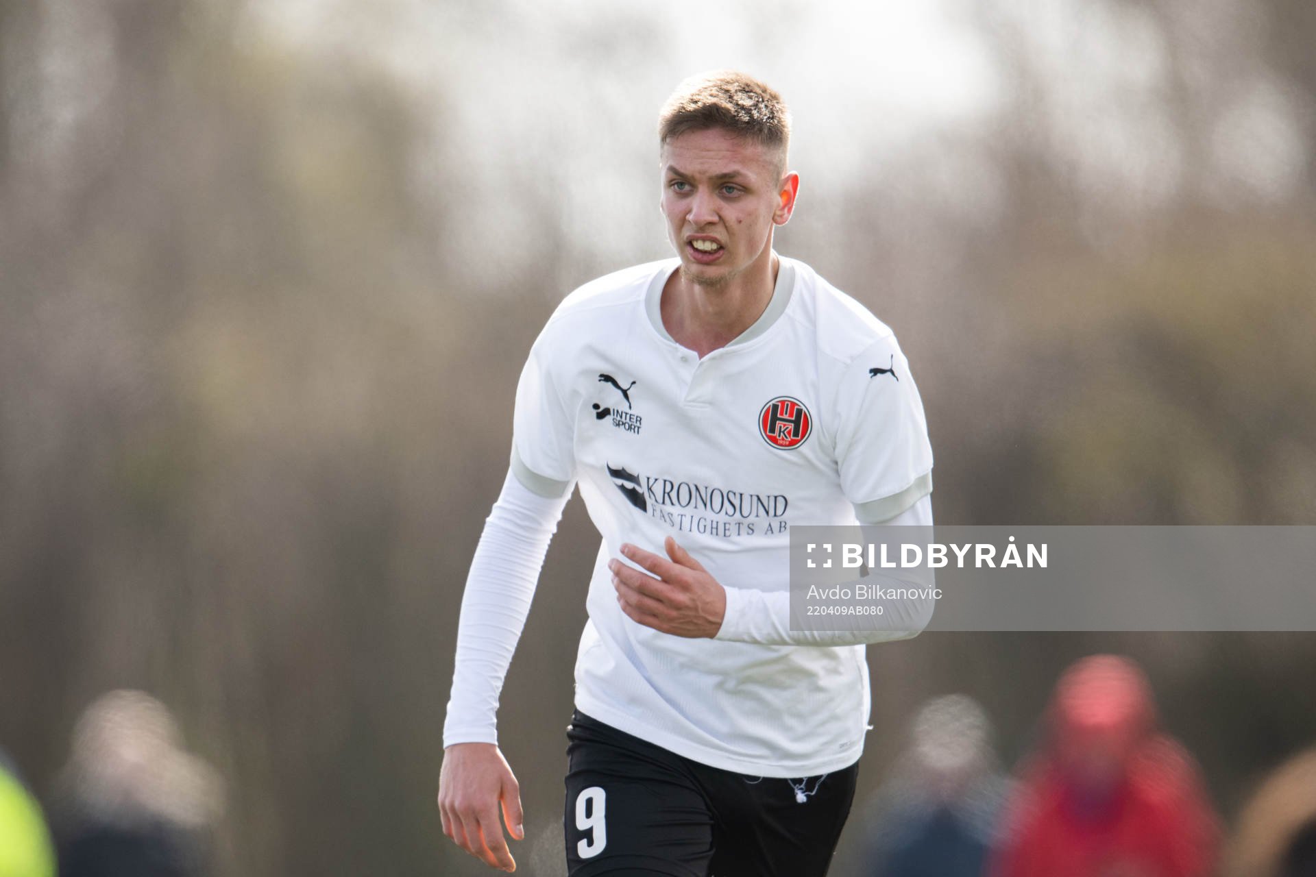 Hittarps Olle Heideman