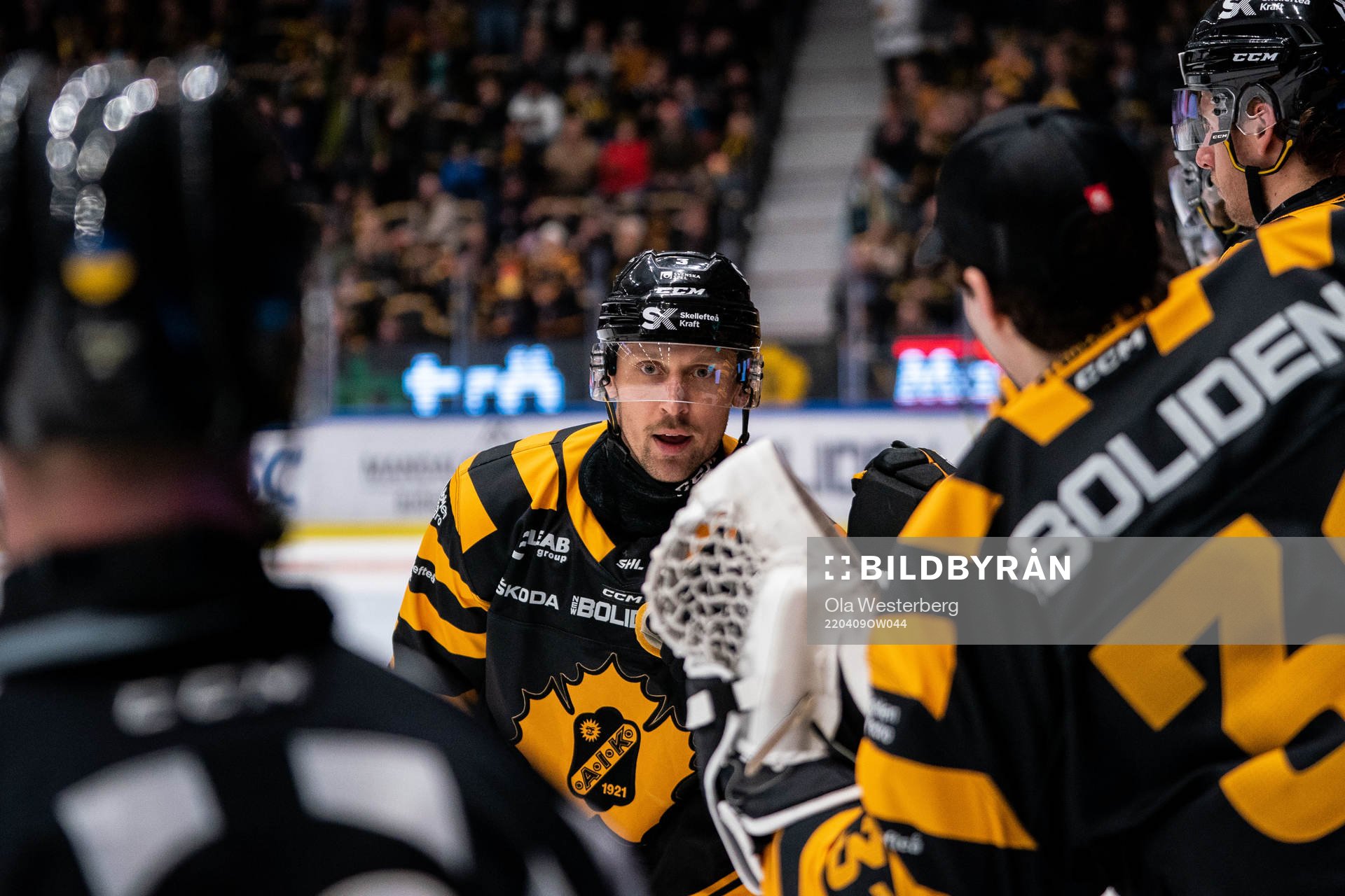 Skellefteås Michael Kapla jublar
