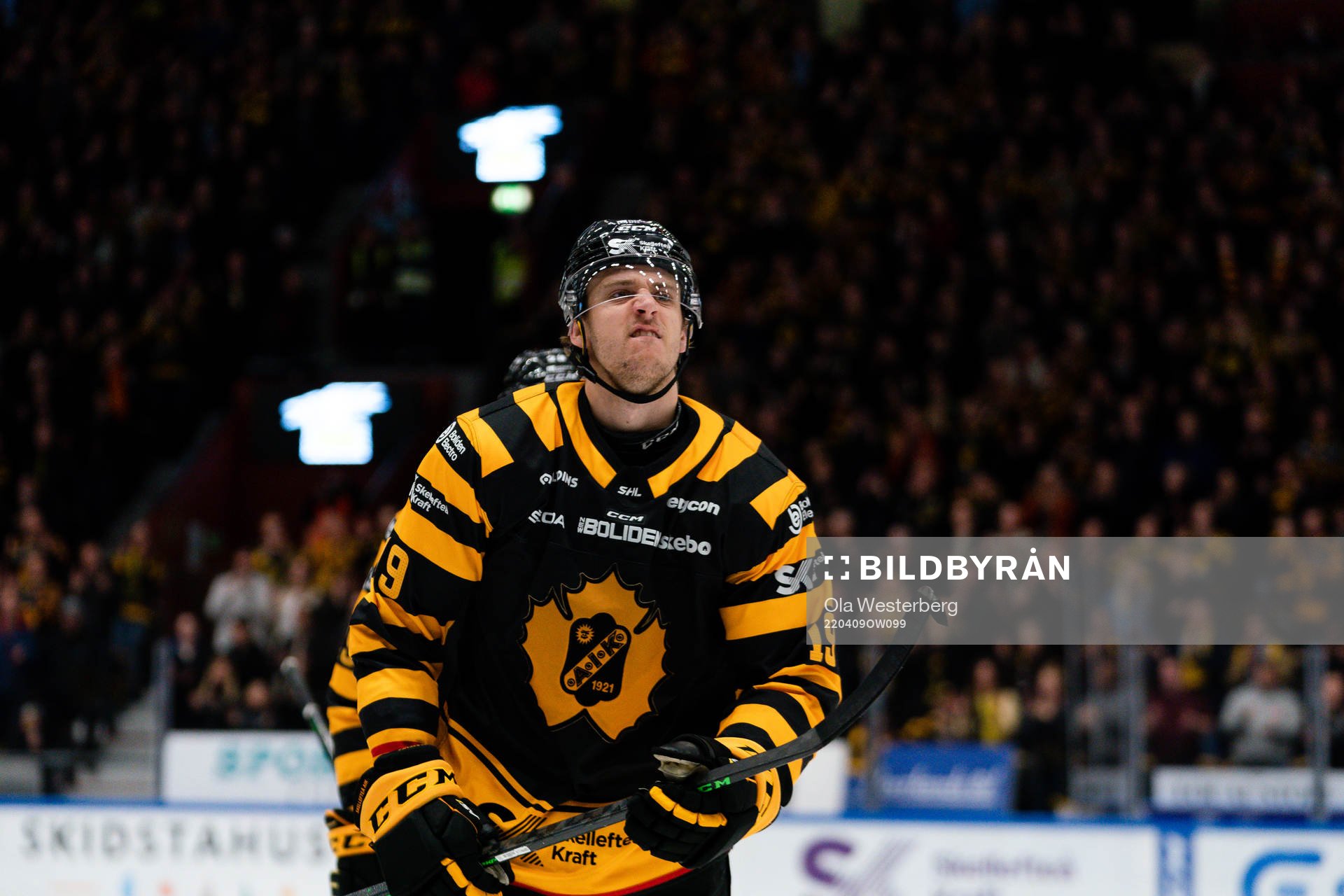 Skellefteås Filip Roos jublar