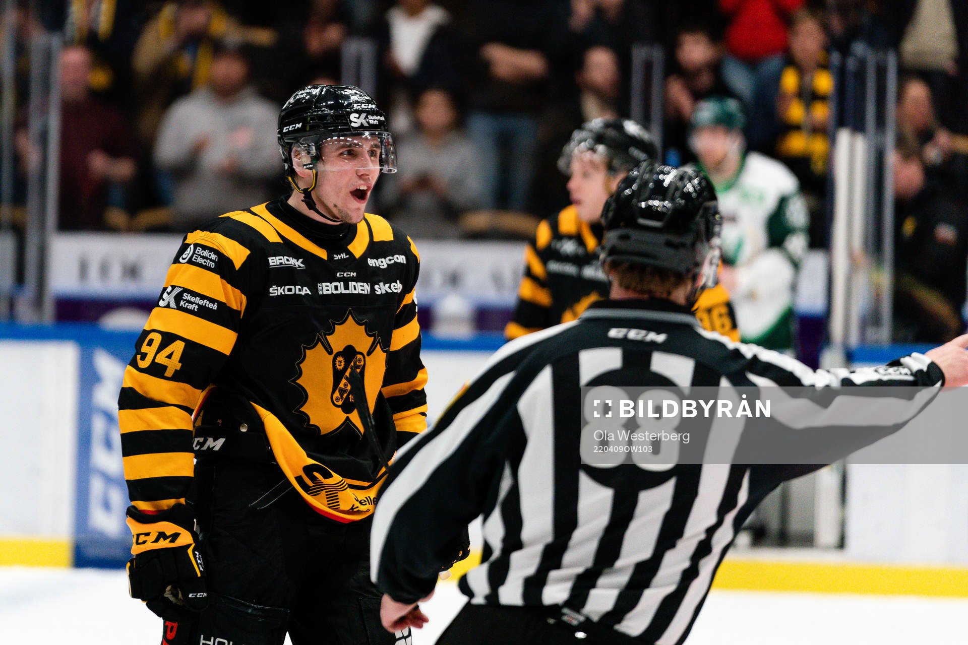 Skellefteås Linus Karlsson