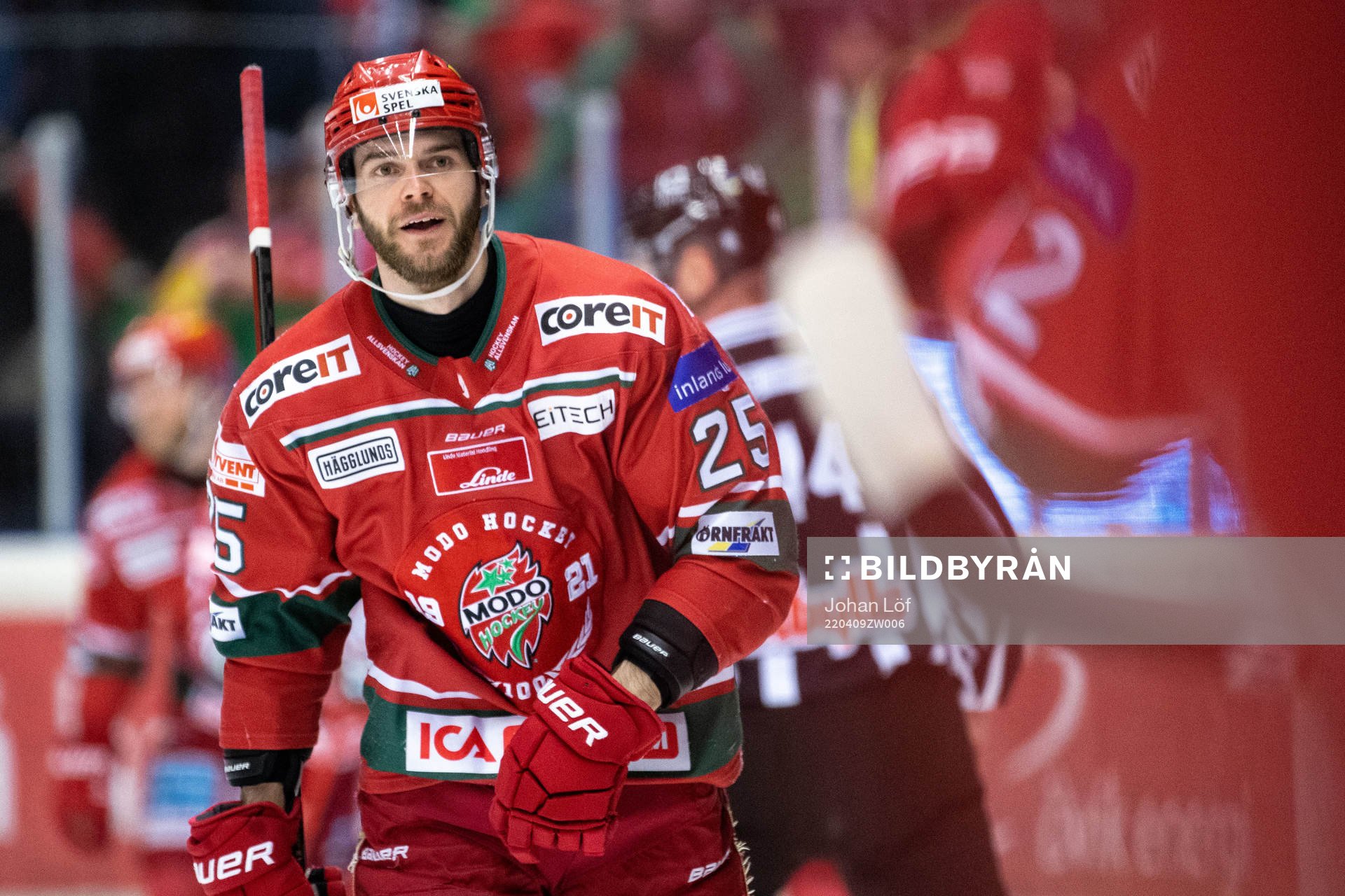 Modos Sam Vigneault jublar