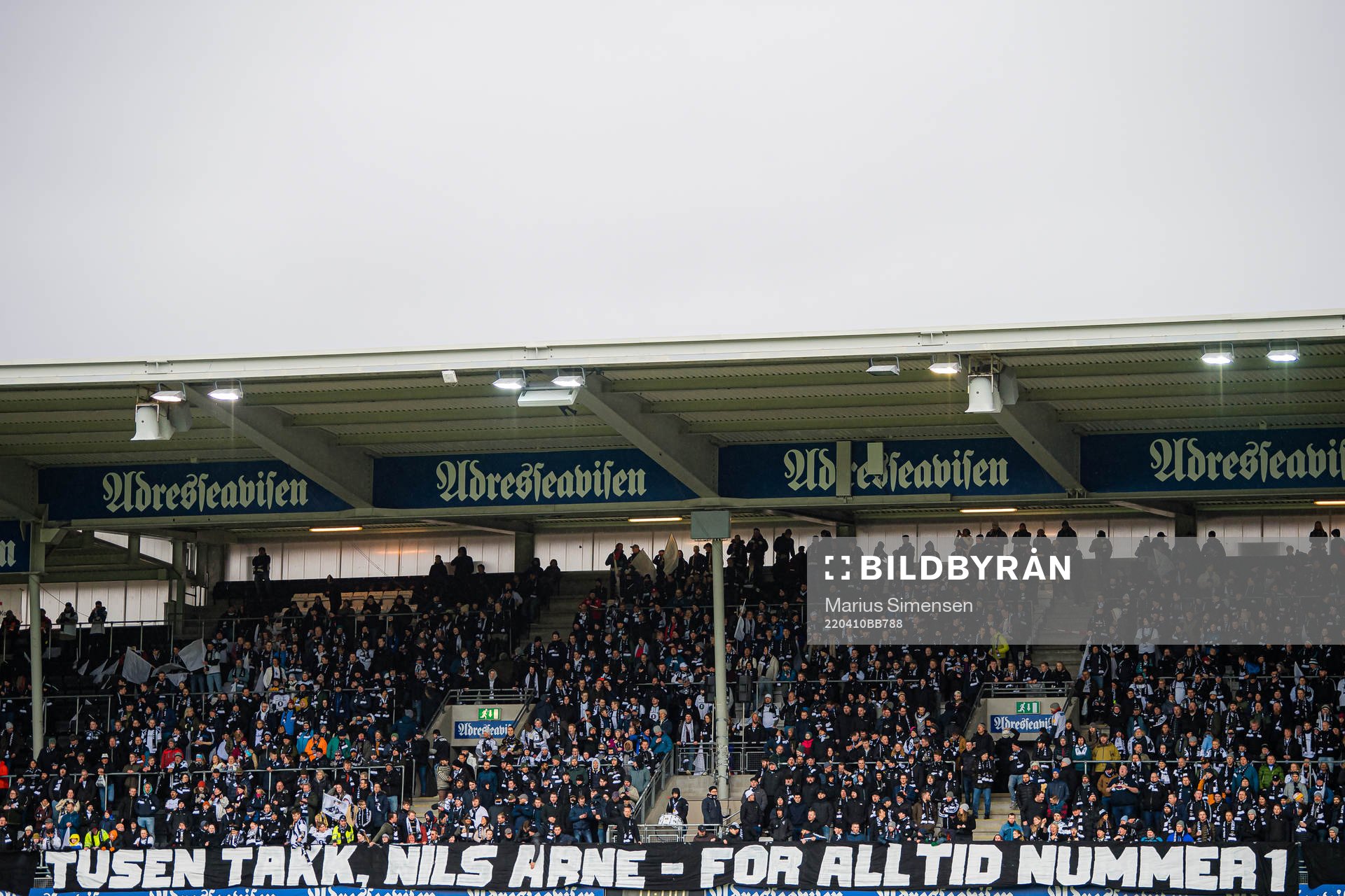 Nils Arne Eggen - TIFO at Lerkendal Stadion